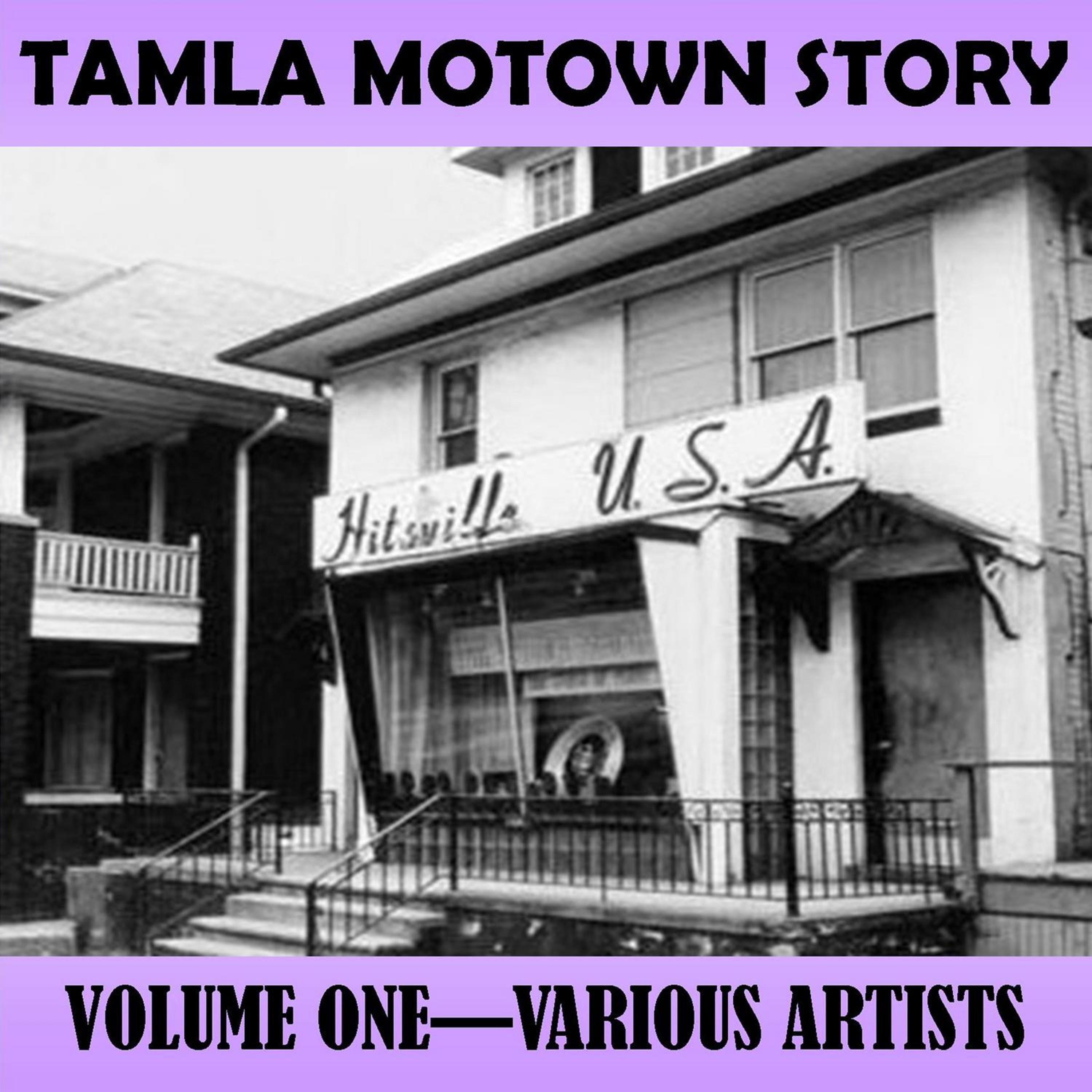 Постер альбома Tamla Motown Story, Vol. 1