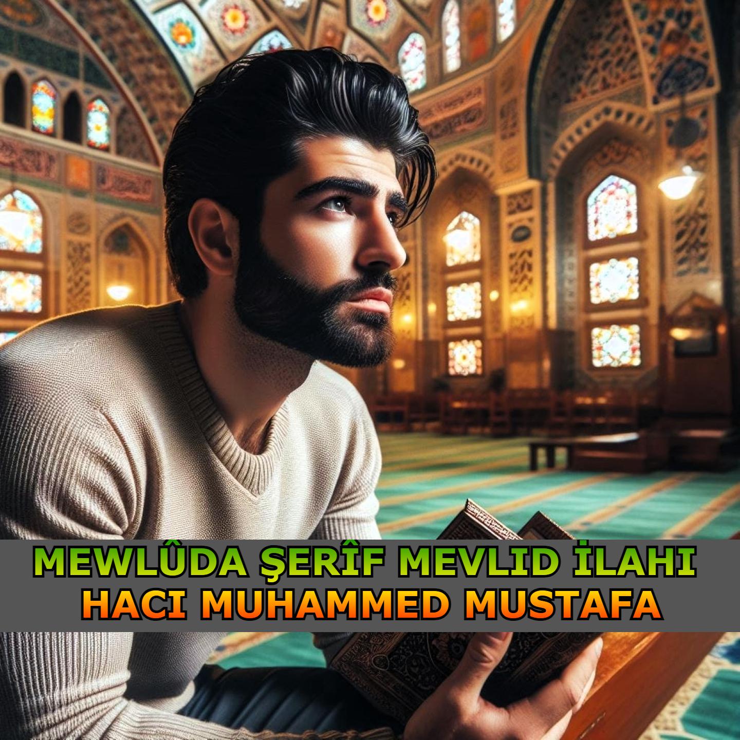 Постер альбома Mewlûda Şerîf Mevlid İlahi