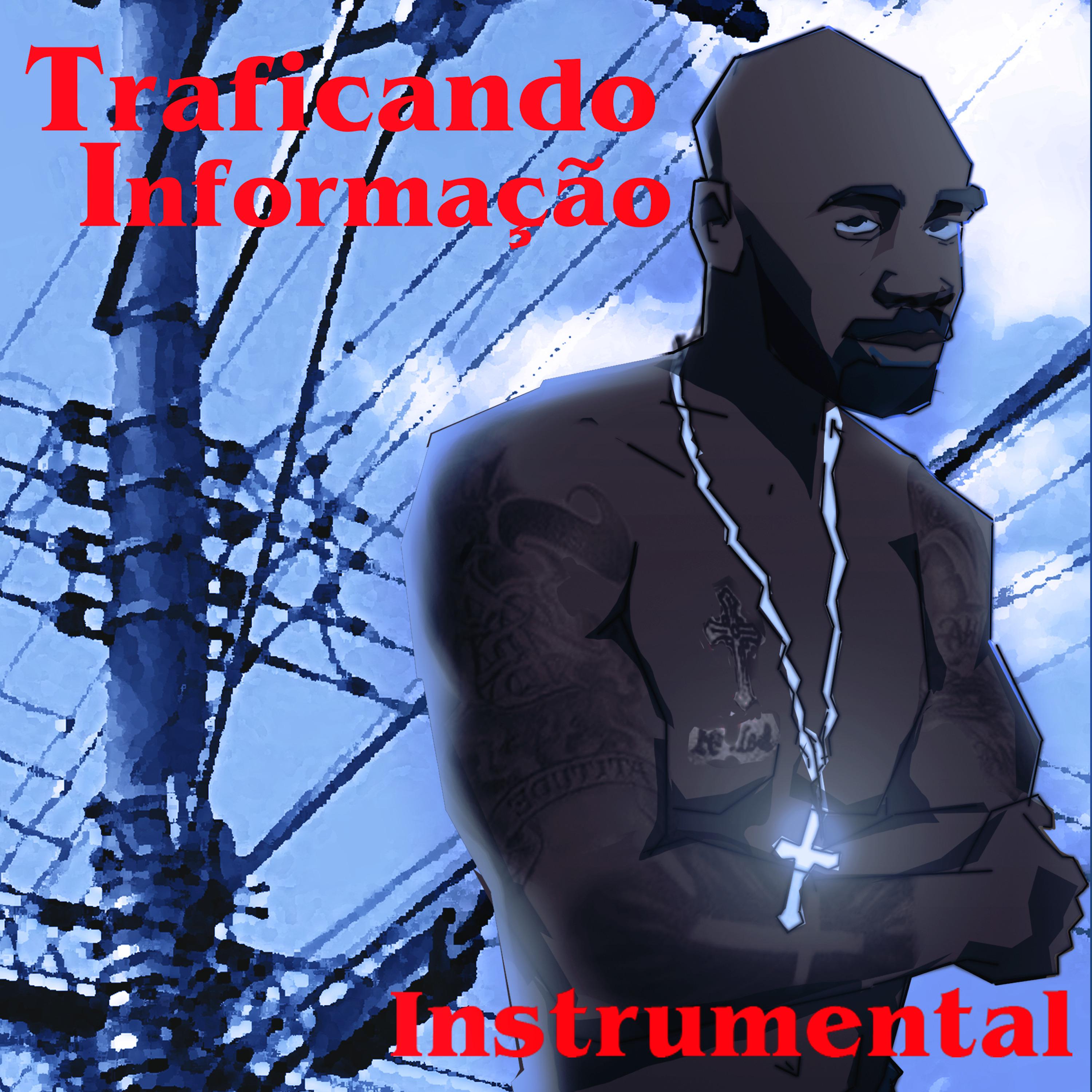 Постер альбома Traficando Informação