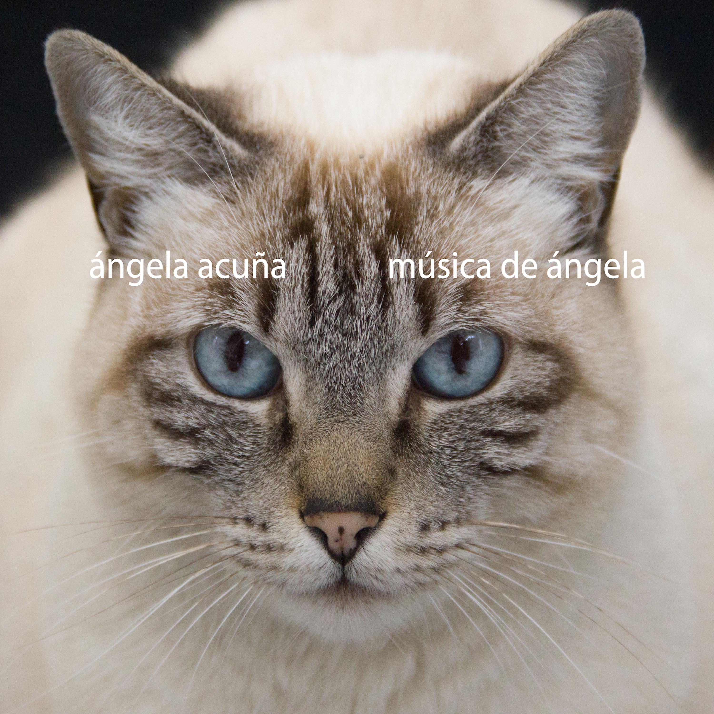 Постер альбома Música de Ángela
