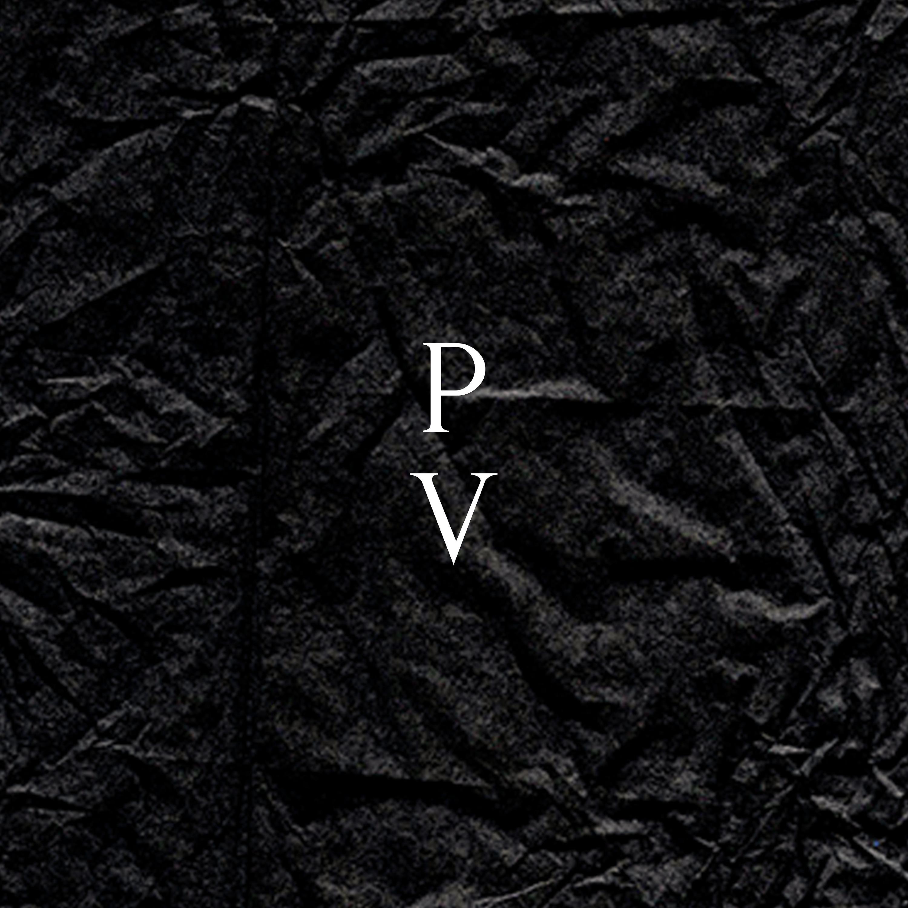 Постер альбома PV