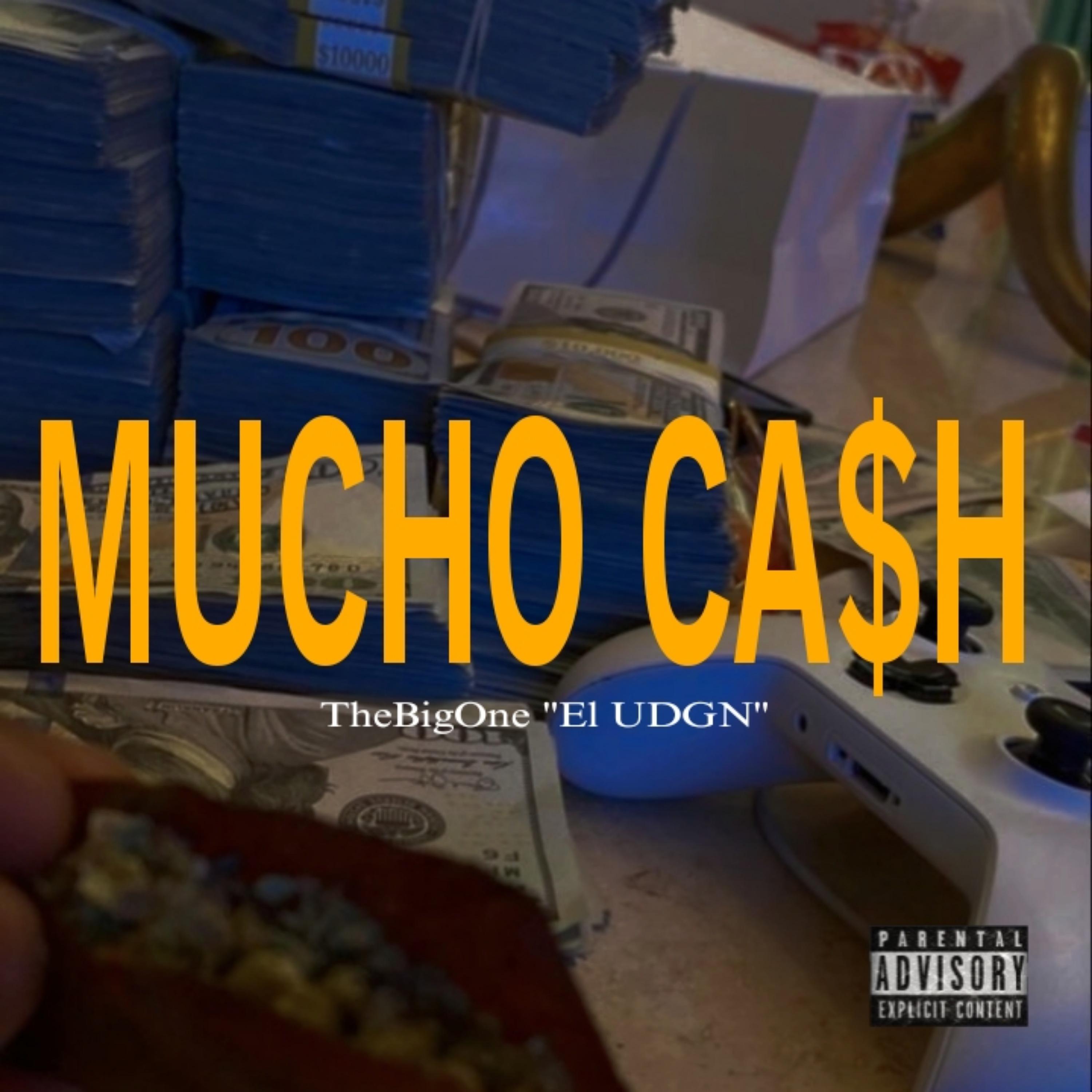 Постер альбома Mucho Cash