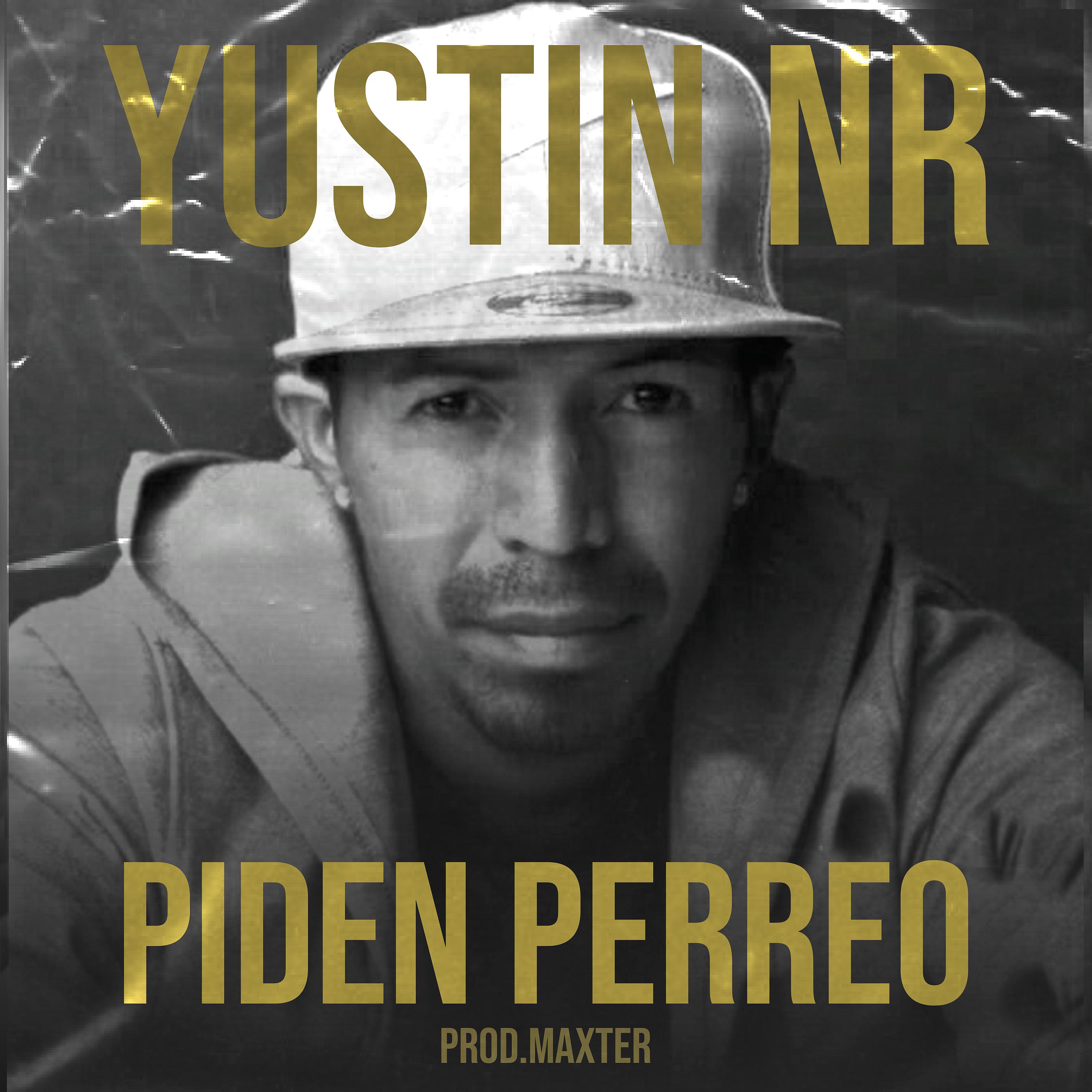 Постер альбома Piden Perreo
