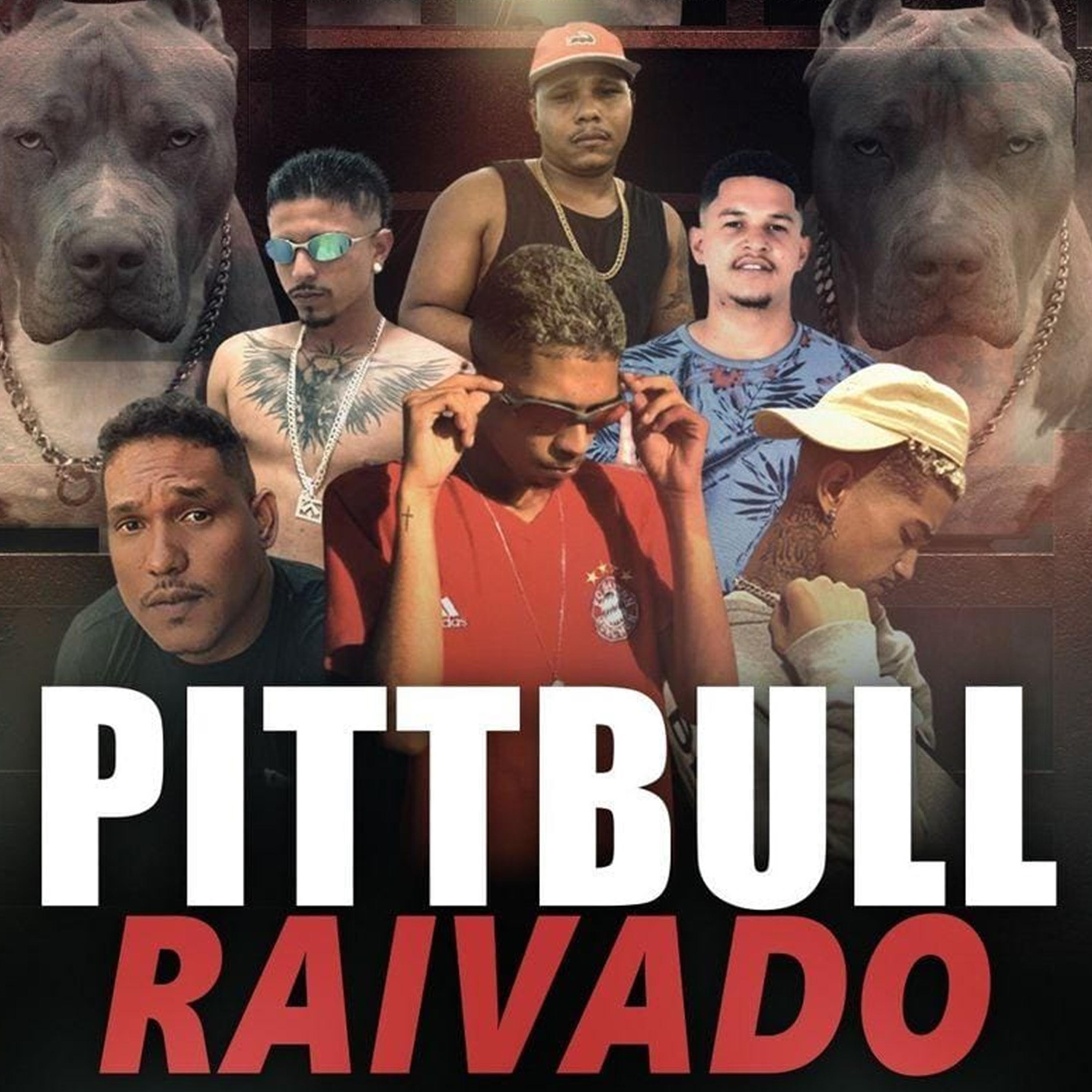 Постер альбома Pittbull Raivado