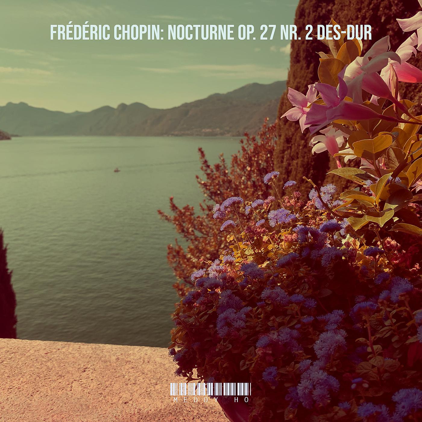 Постер альбома Frédéric Chopin: Nocturne Op. 27 Nr. 2 Des-Dur