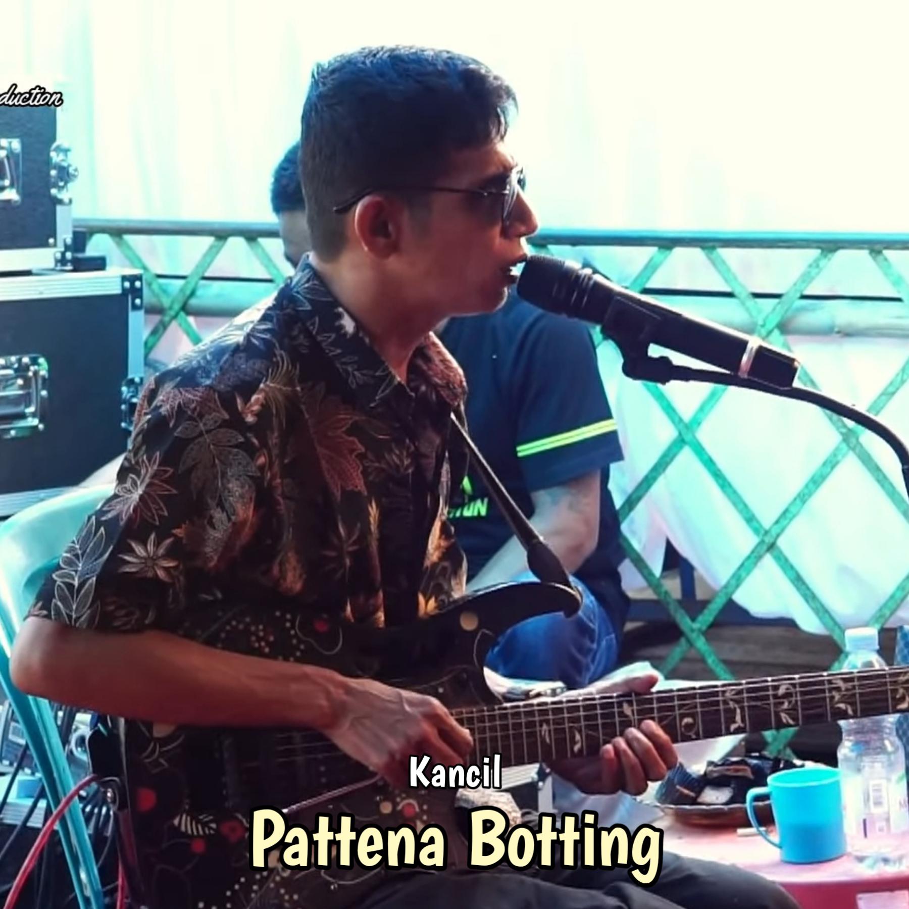 Постер альбома Pattena Botting