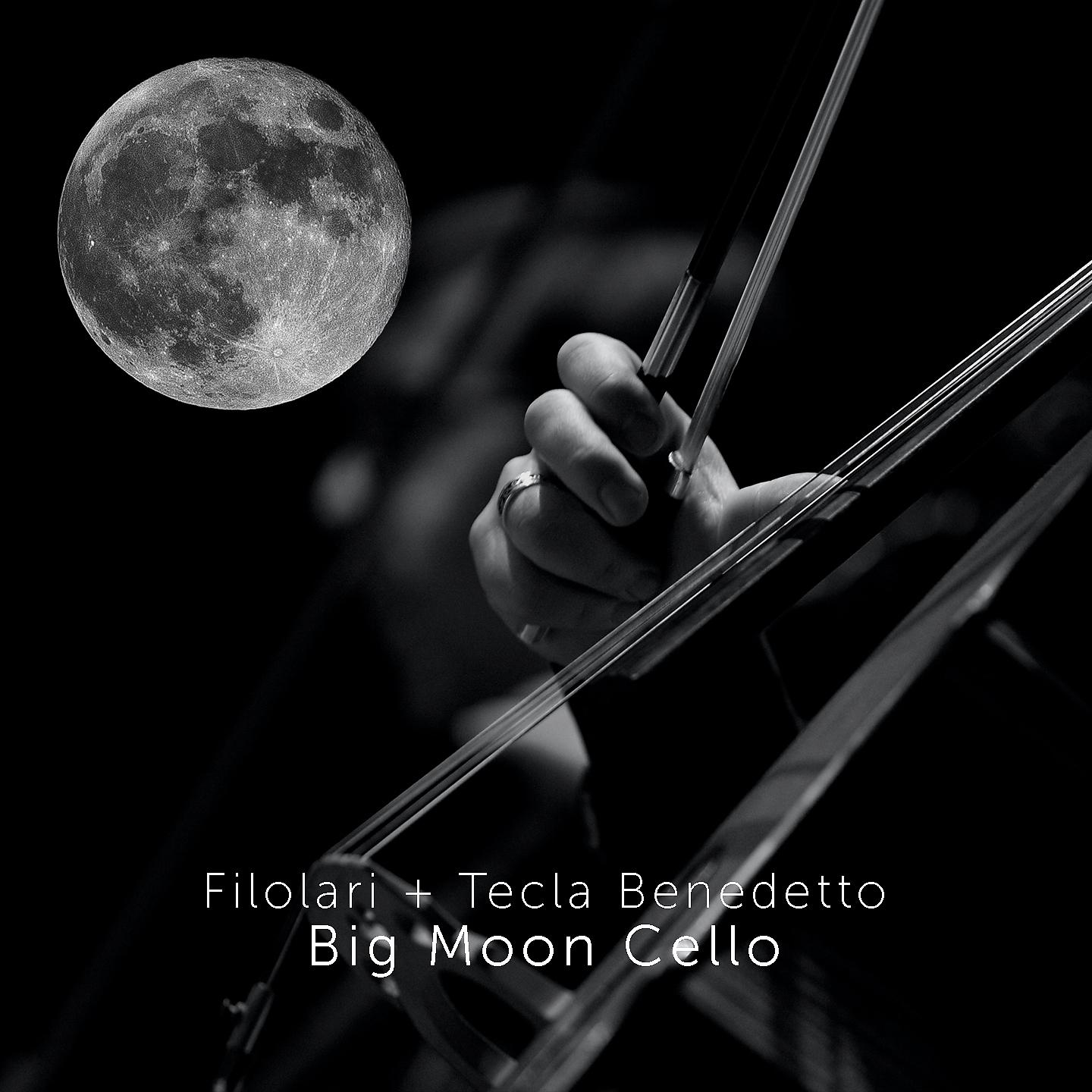 Постер альбома Big Moon Cello