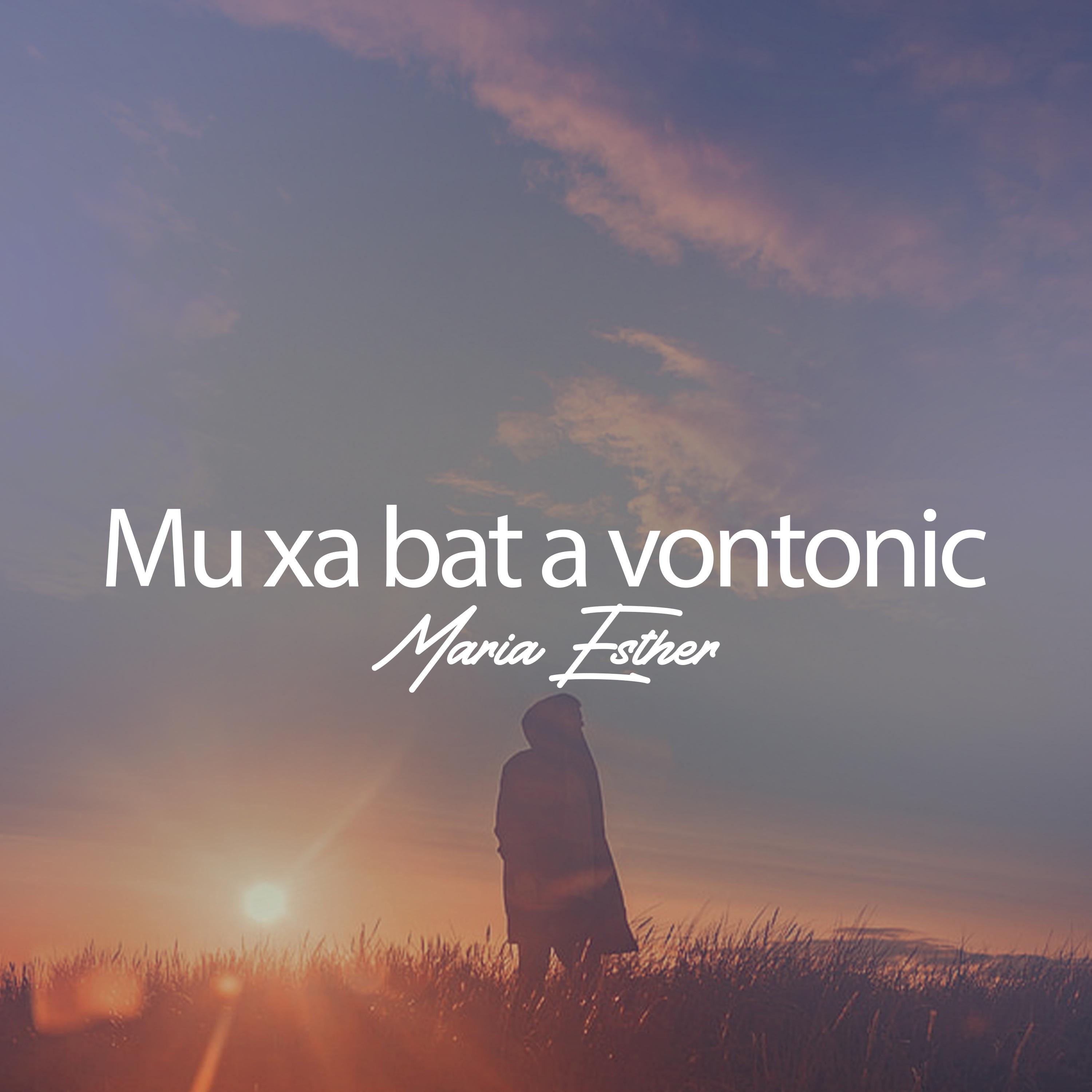 Постер альбома Mu Xa Bat a Vontonic