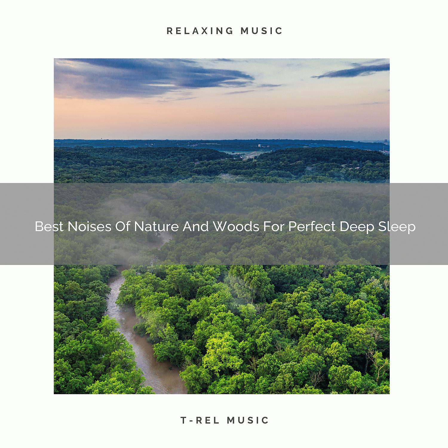 Постер альбома Best Noises Of Nature And Woods For Perfect Deep Sleep