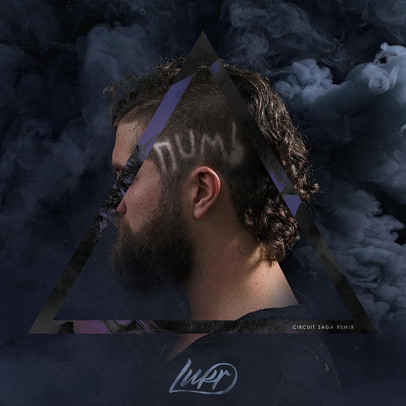 Постер альбома Numb (Circuit Saga Remix)