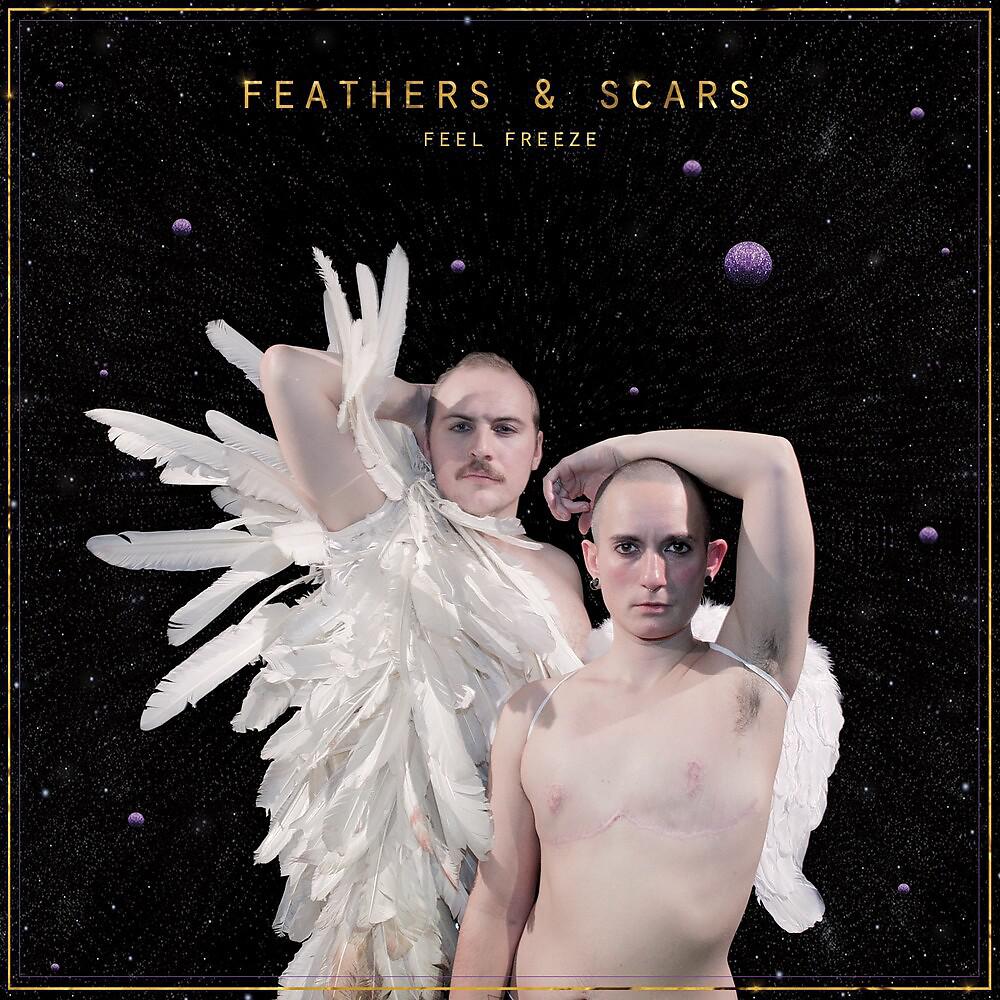 Постер альбома Feathers & Scars