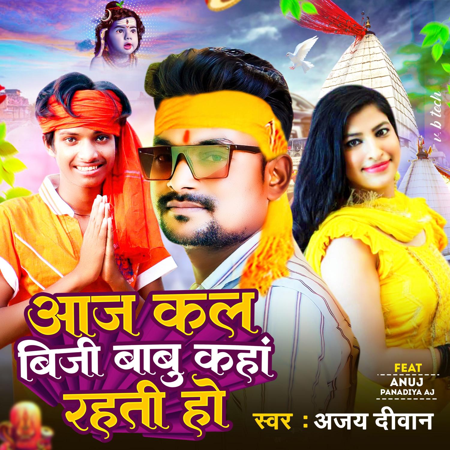 Постер альбома Aaj Kal Biji Babu Kaha Rahti Ho