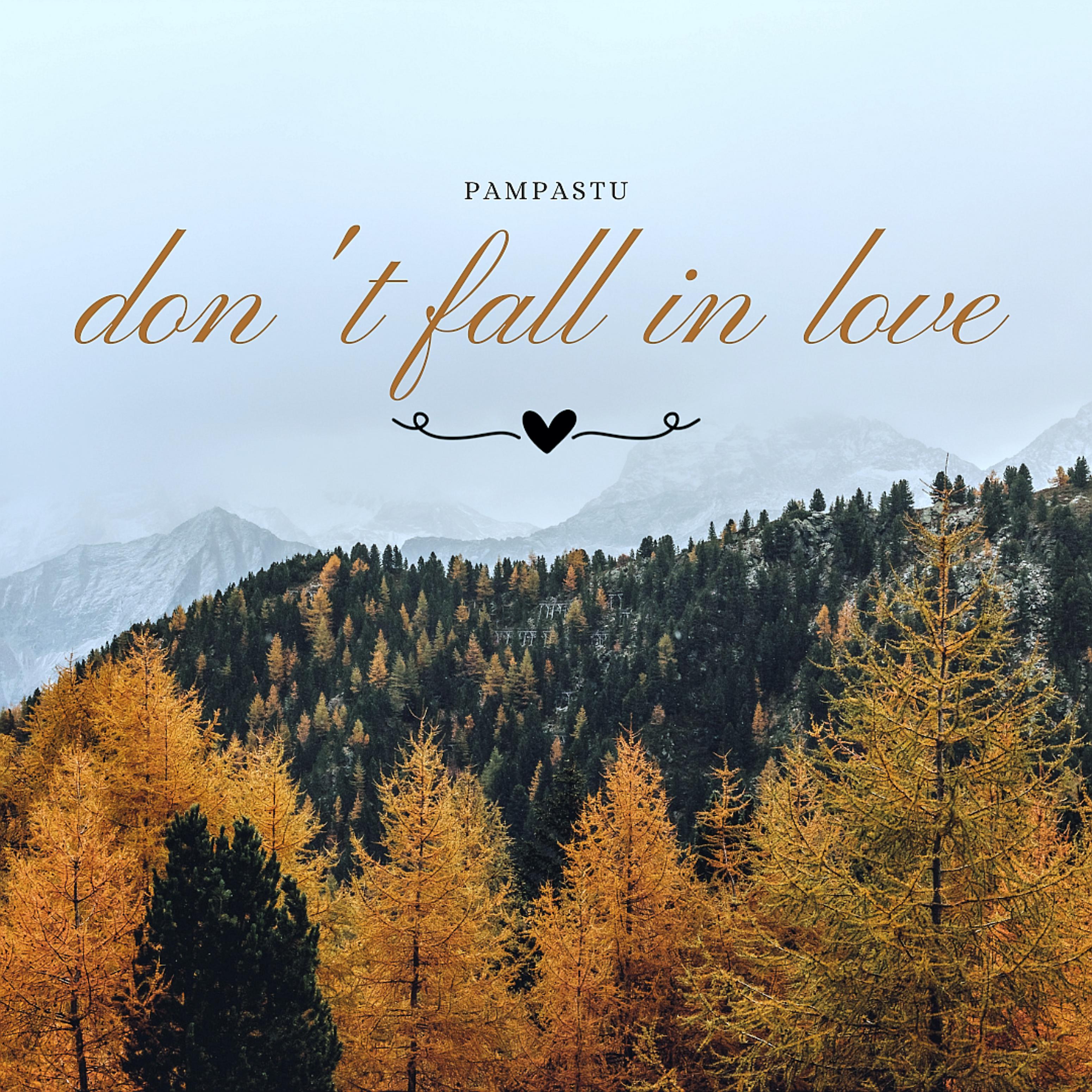 Постер альбома Don't Fall in Love