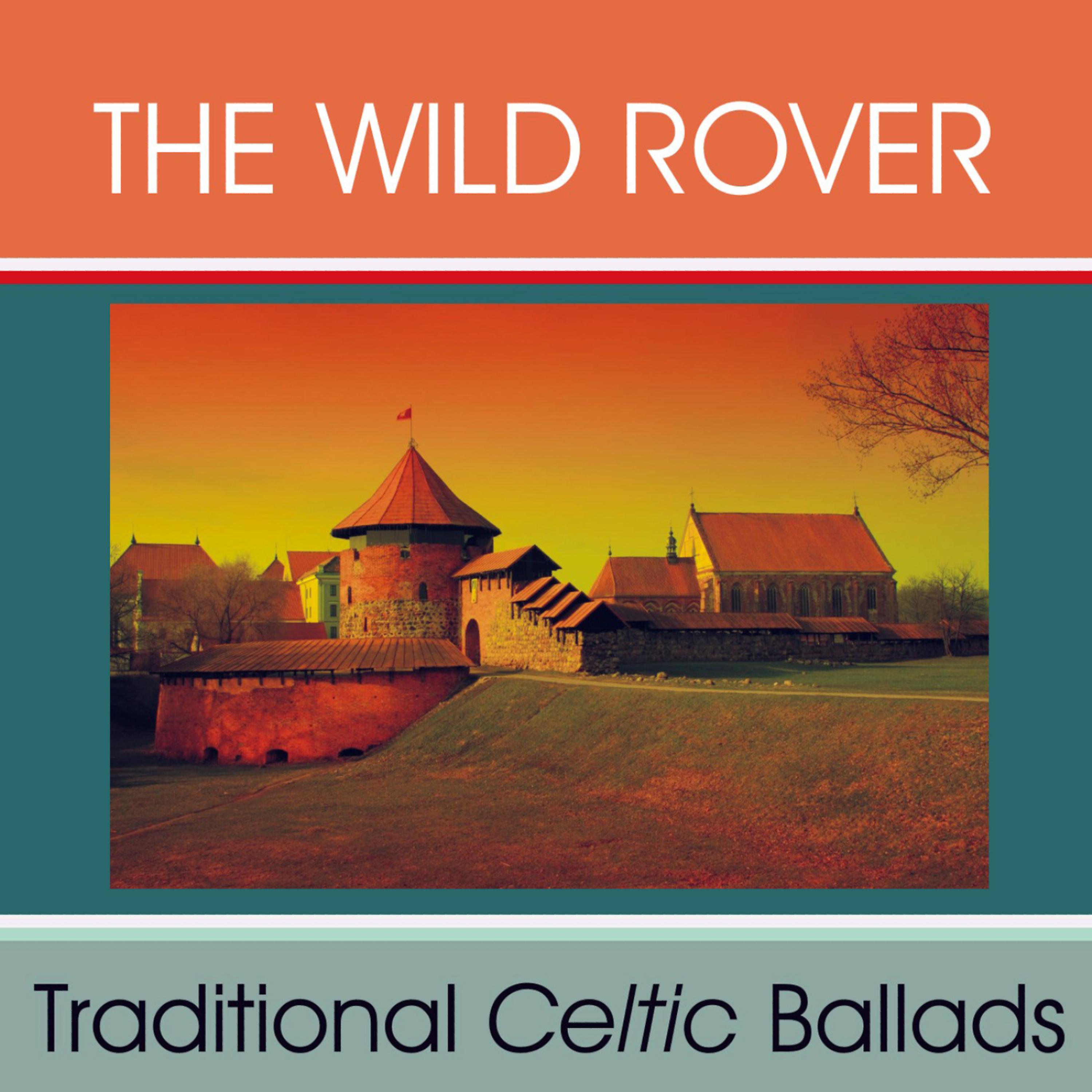 Постер альбома Traditional Celtic Ballads