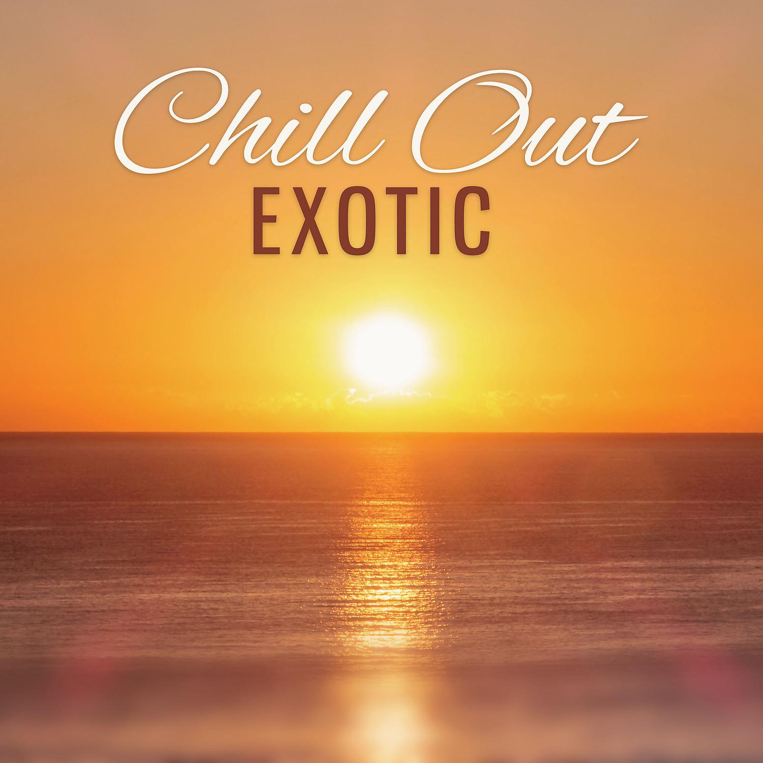 Постер альбома Chill Out Exotic – Tropical Sounds of Chill Out Music, Best Moment of Your Life, Holiday Dreams, Deep Vibes of Relax Music