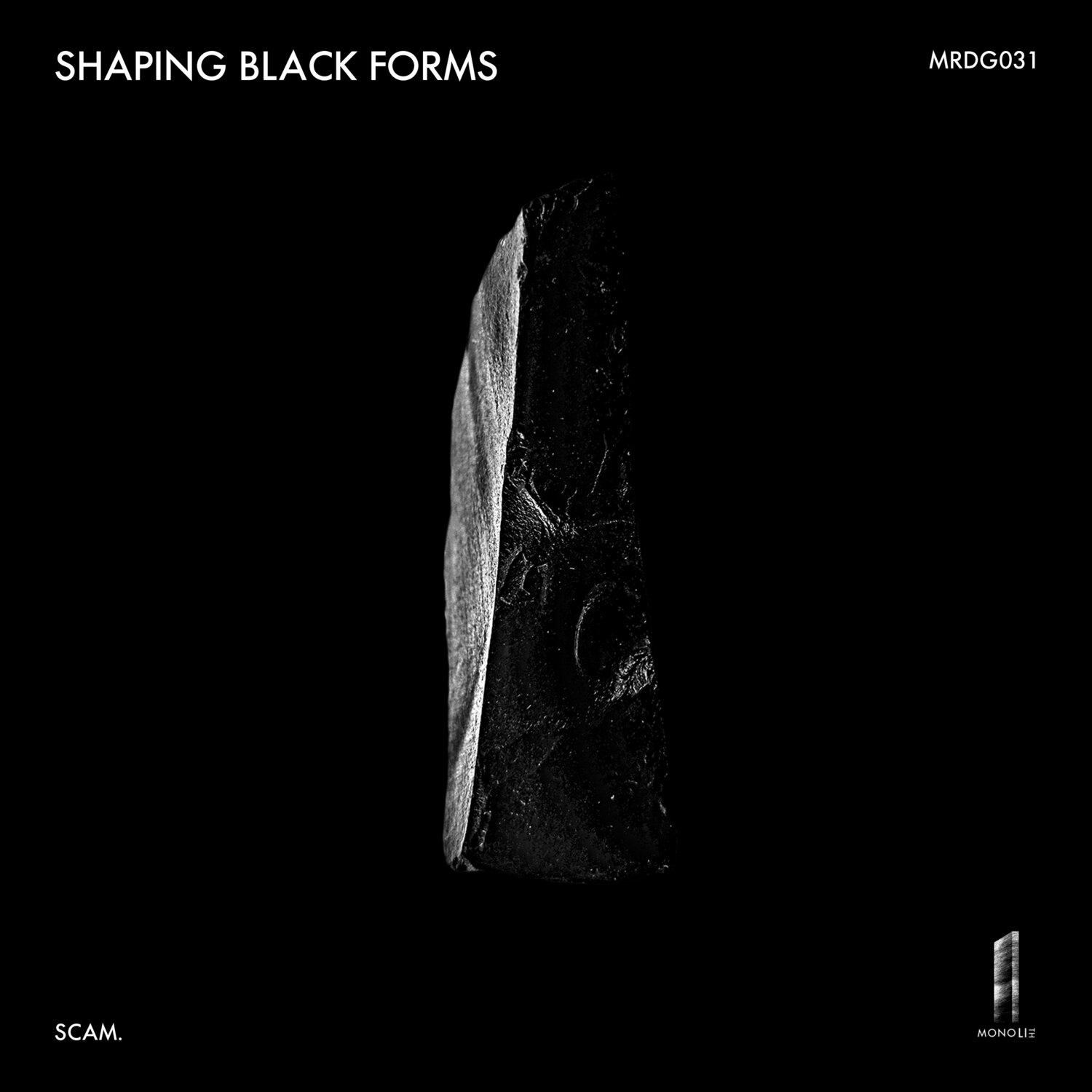 Постер альбома Shaping Black Forms