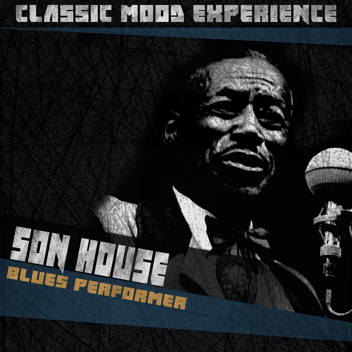 Постер альбома Blues Performer (Classic Mood Experience)
