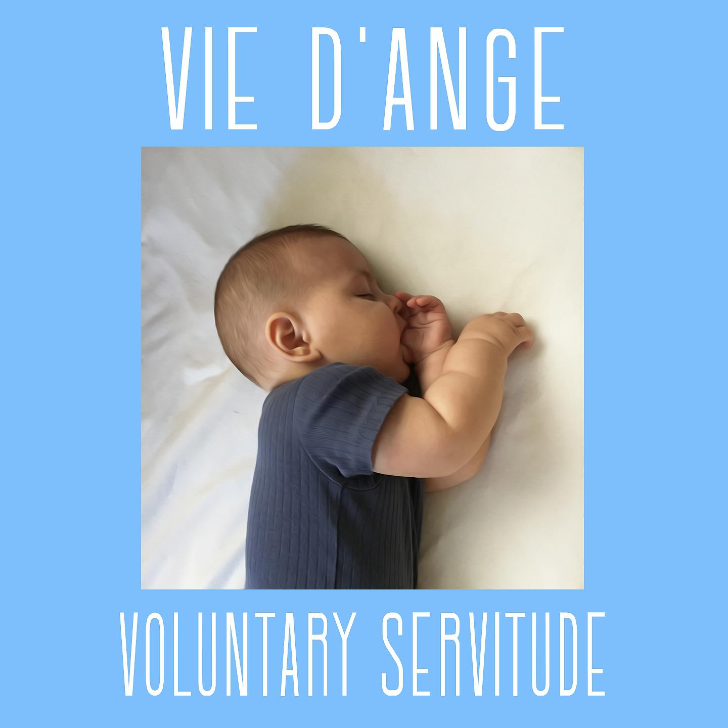 Постер альбома Voluntary Servitude