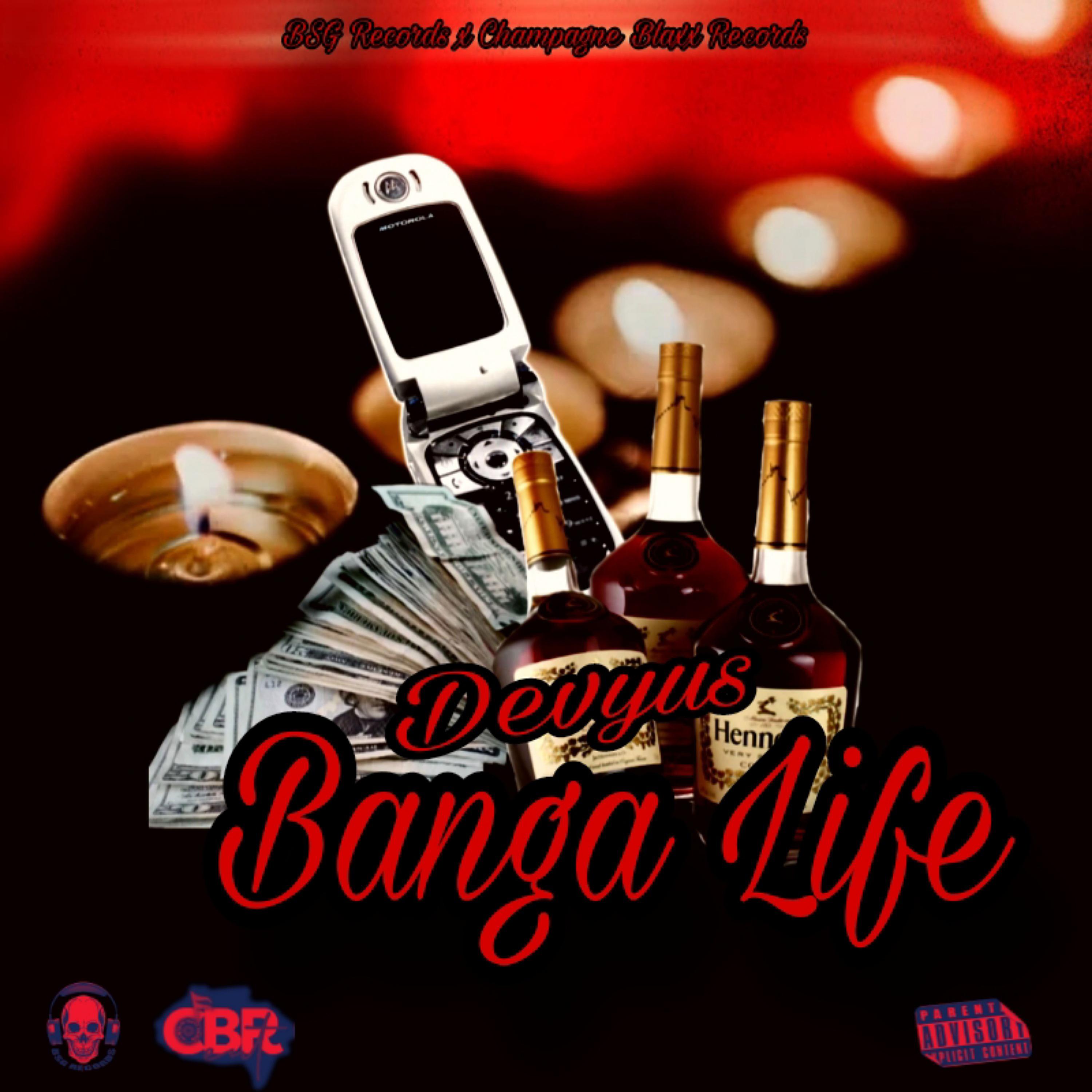 Постер альбома Banga Life