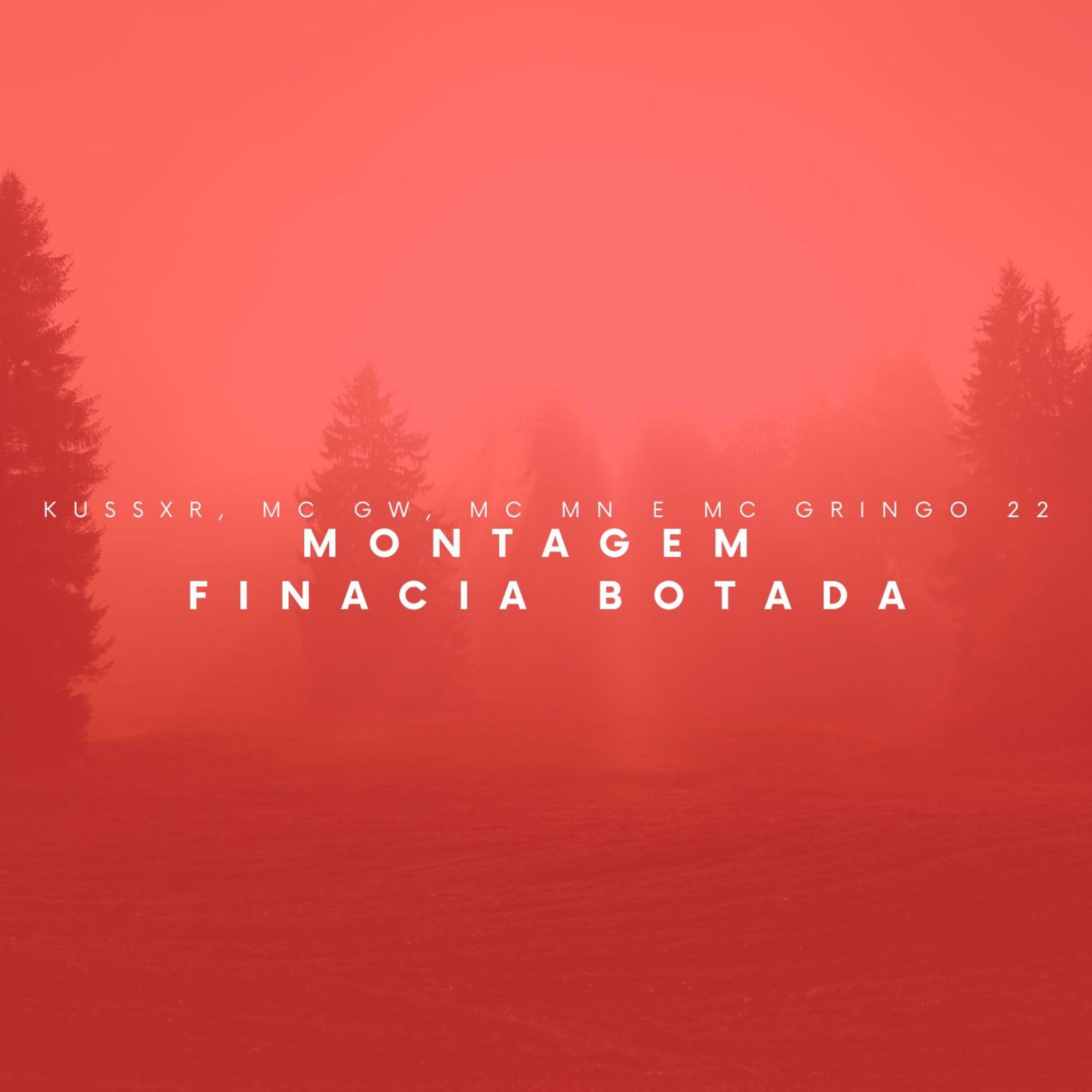 Постер альбома Montagem Financia Botada