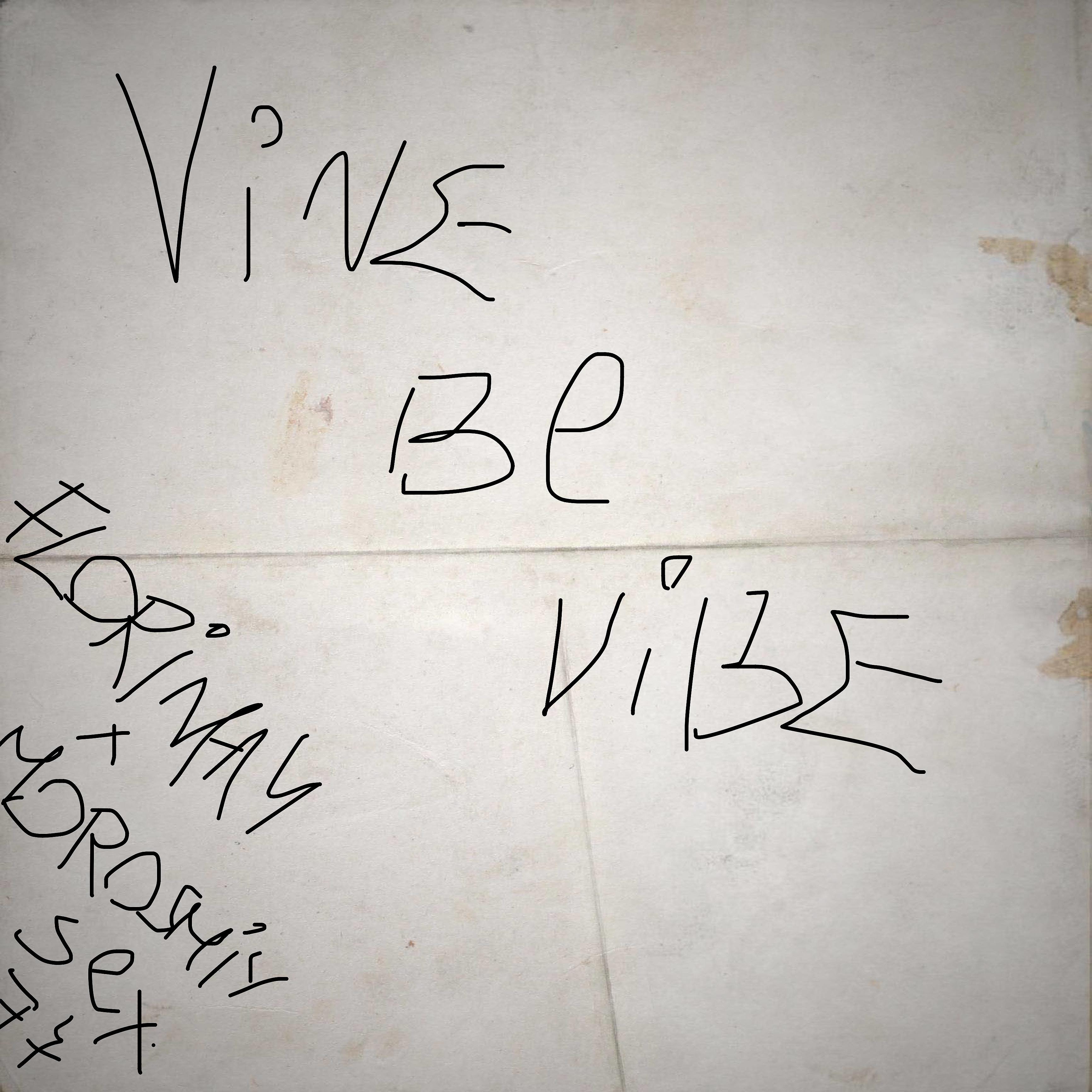 Постер альбома Vine Be Vibe