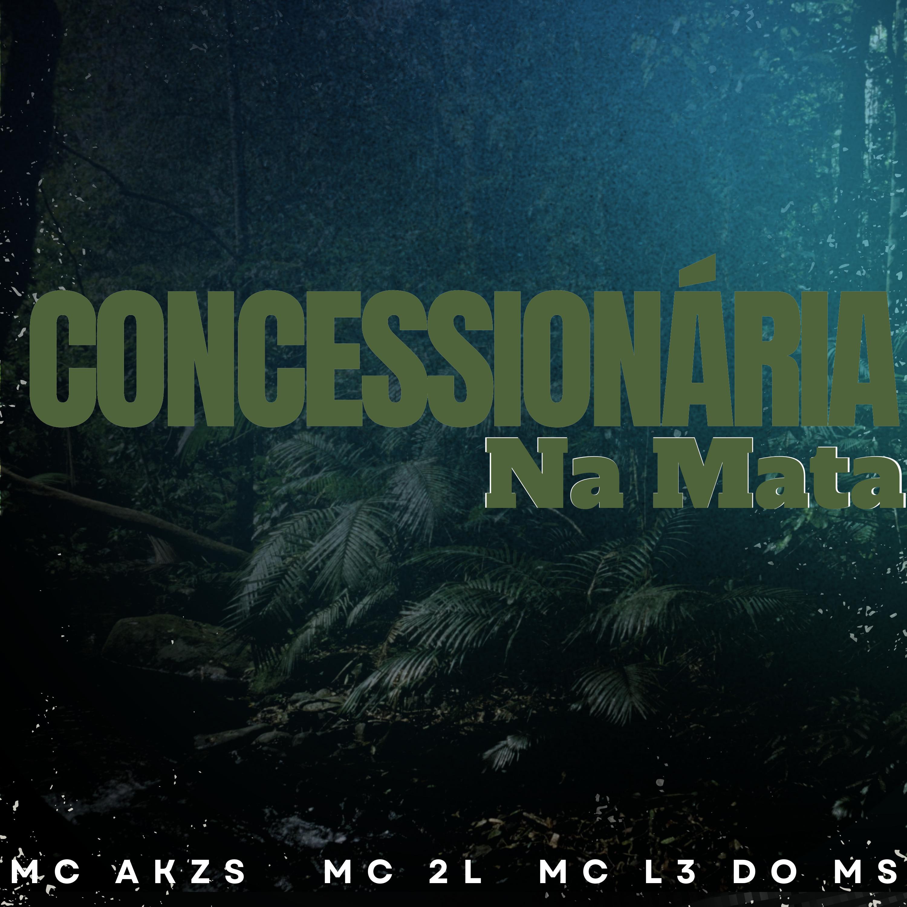 Постер альбома Concessionária na Mata