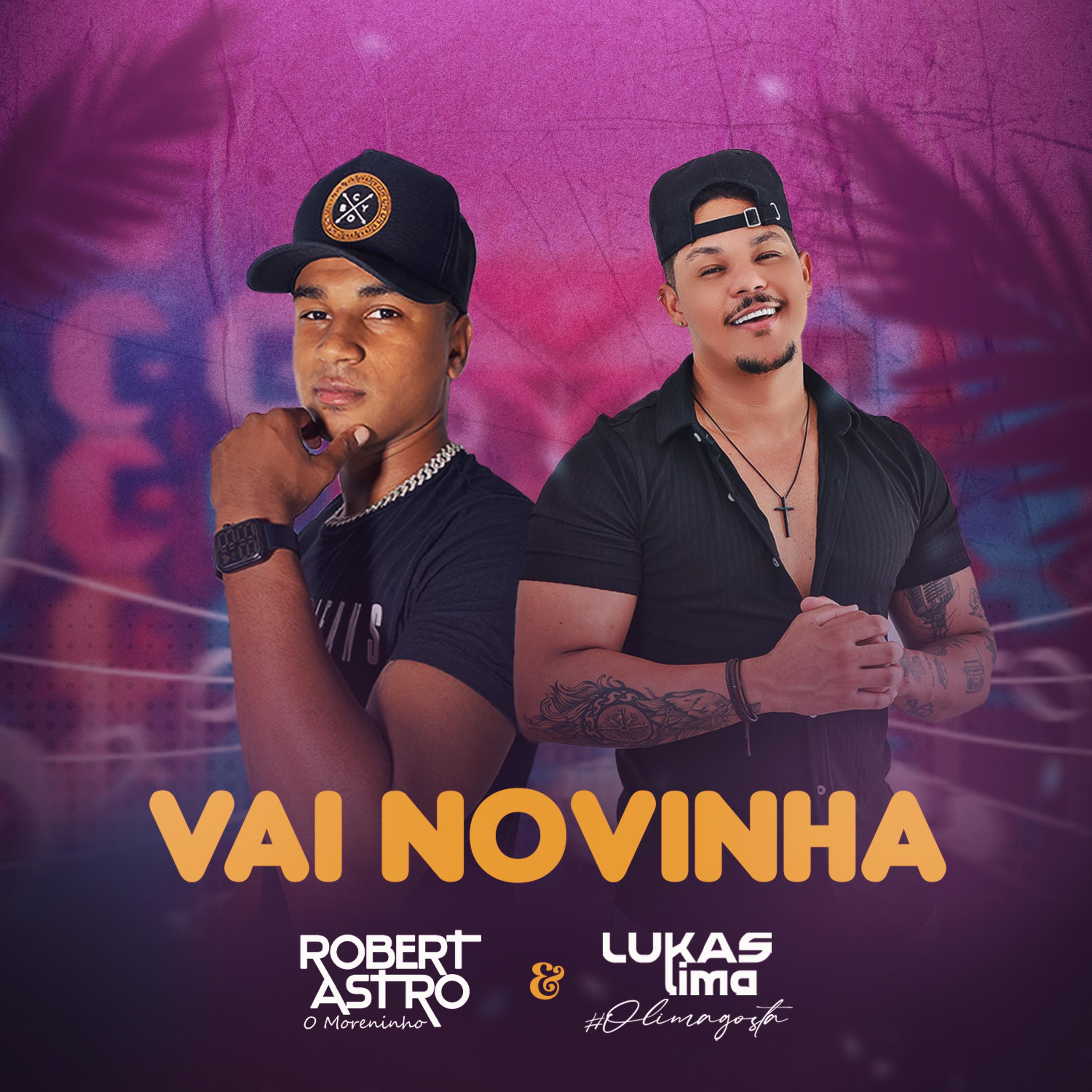 Постер альбома Vai Novinha