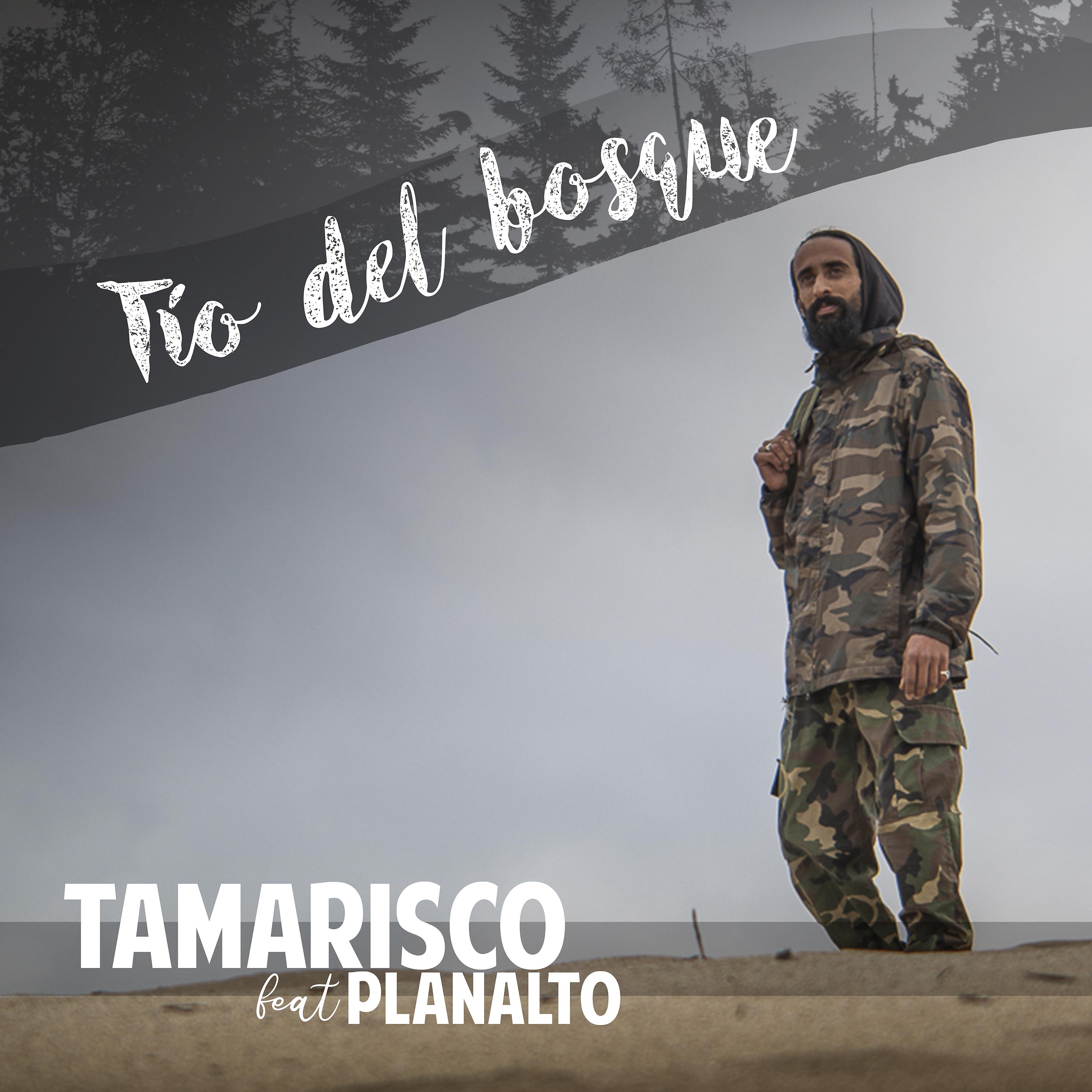 Постер альбома Tío del Bosque