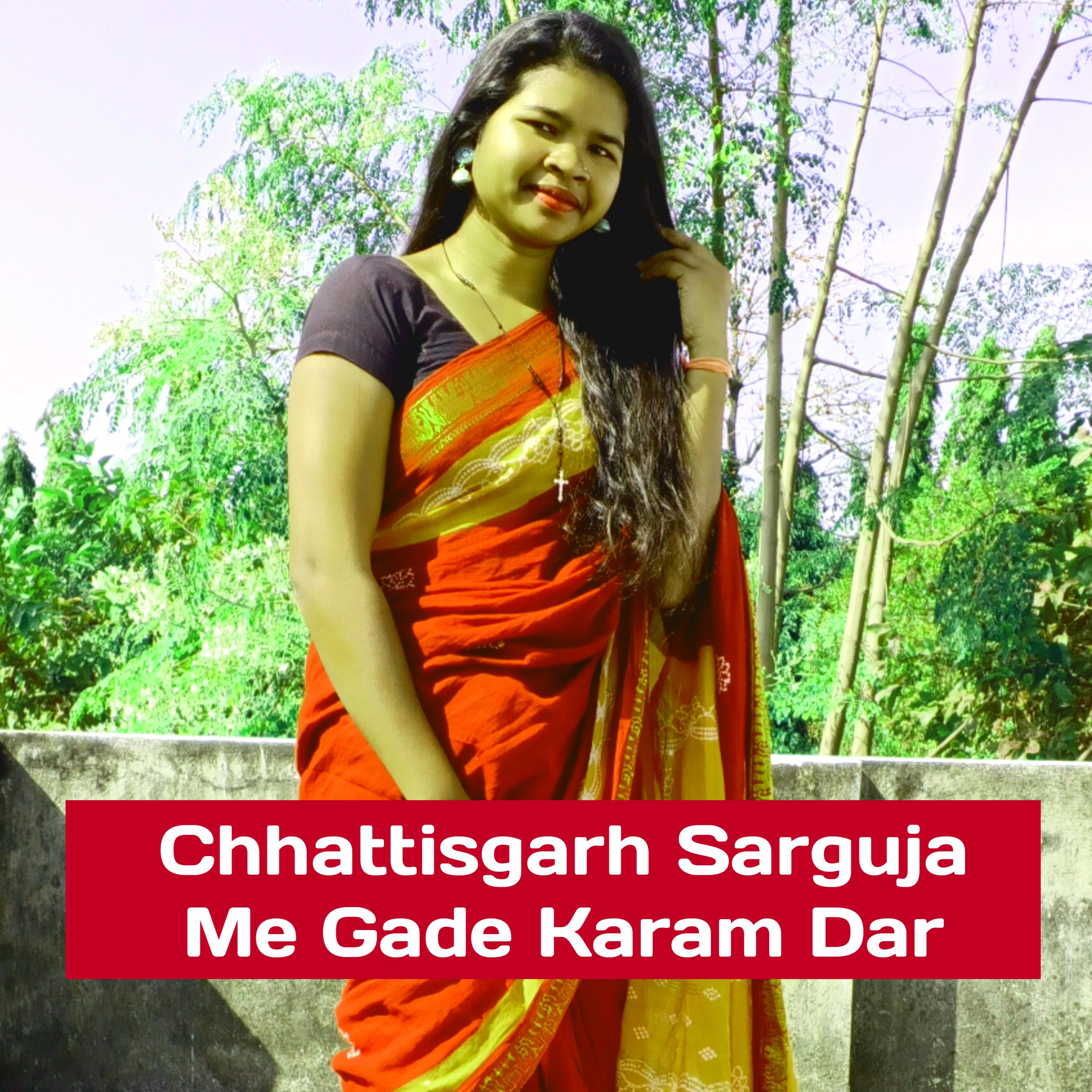 Постер альбома Chhattisgarh Sarguja Me Gade Karam Dar