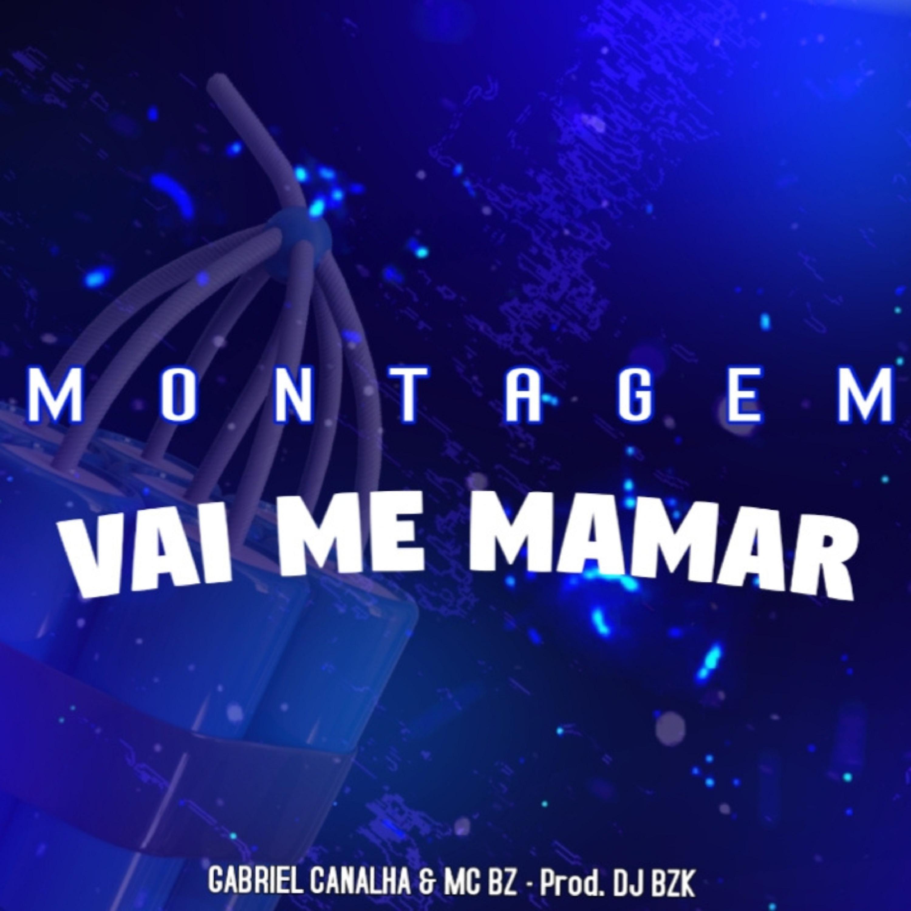 Постер альбома Montagem - Vai Me Mamar