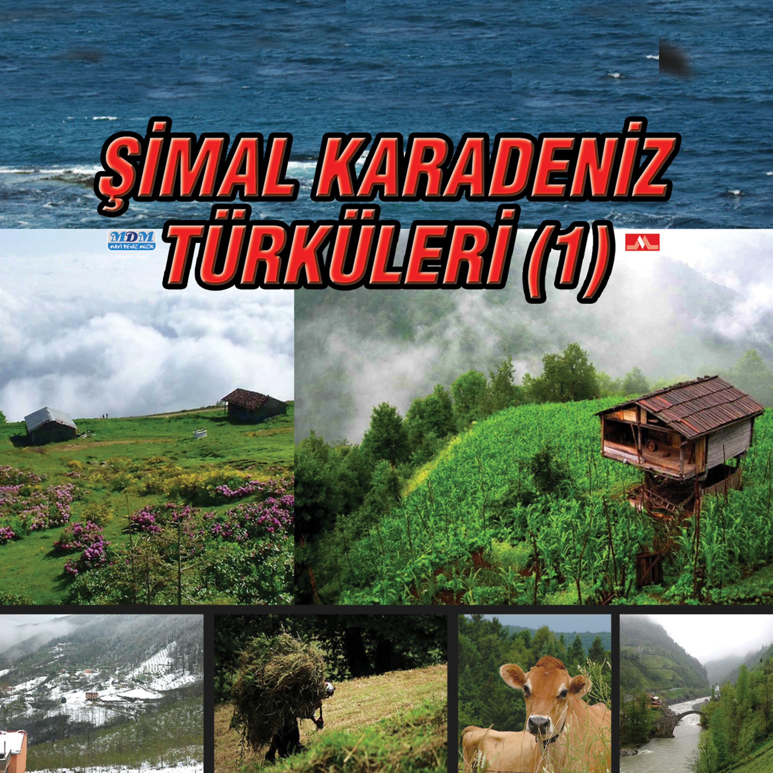 Постер альбома Şimal Karadeniz Türküleri (1)