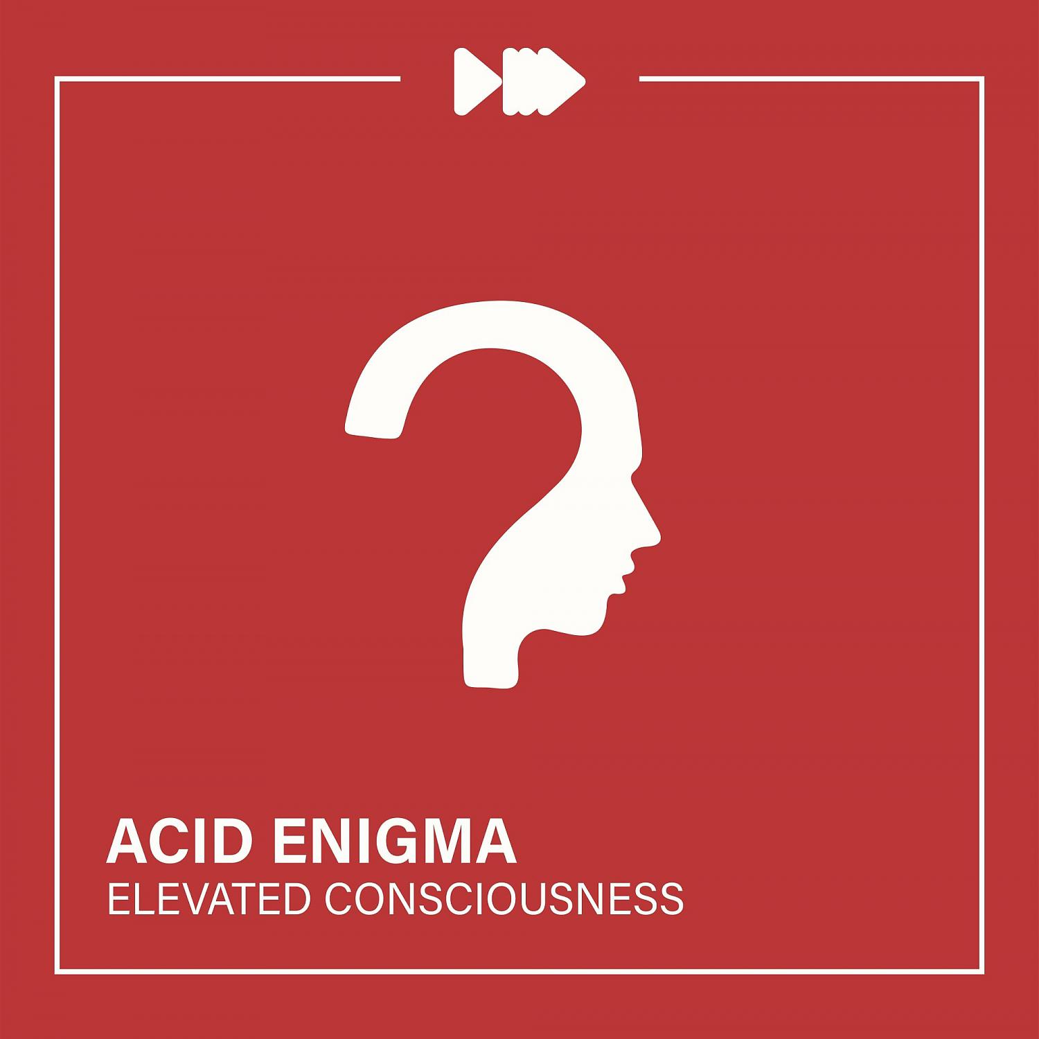 Постер альбома Elevated Consciousness