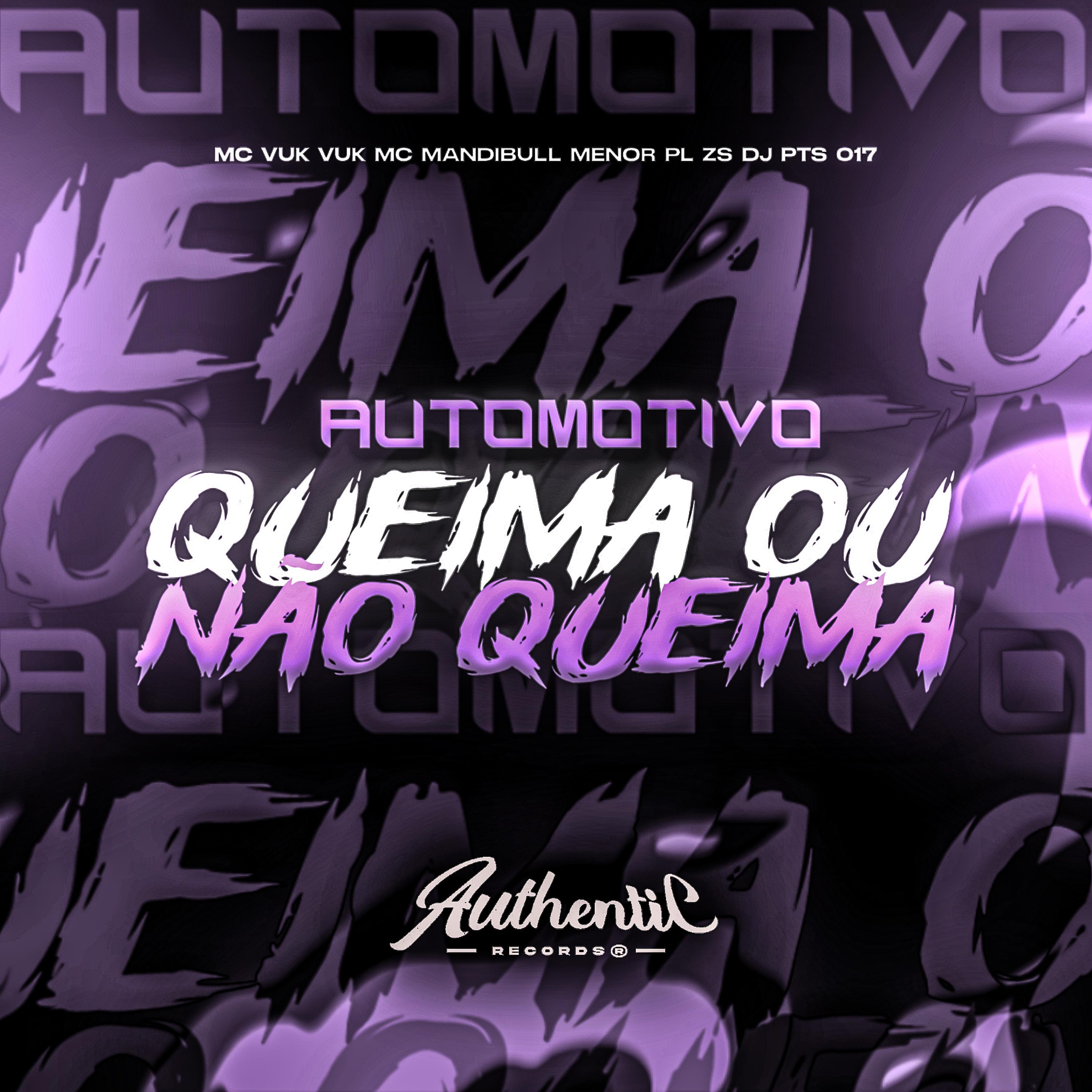 Постер альбома Automotivo Queima ou Não Queima