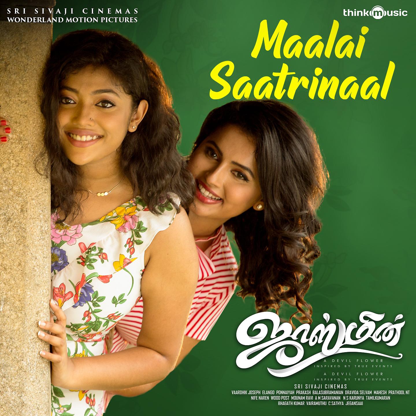 Постер альбома Maalai Saatrinaal