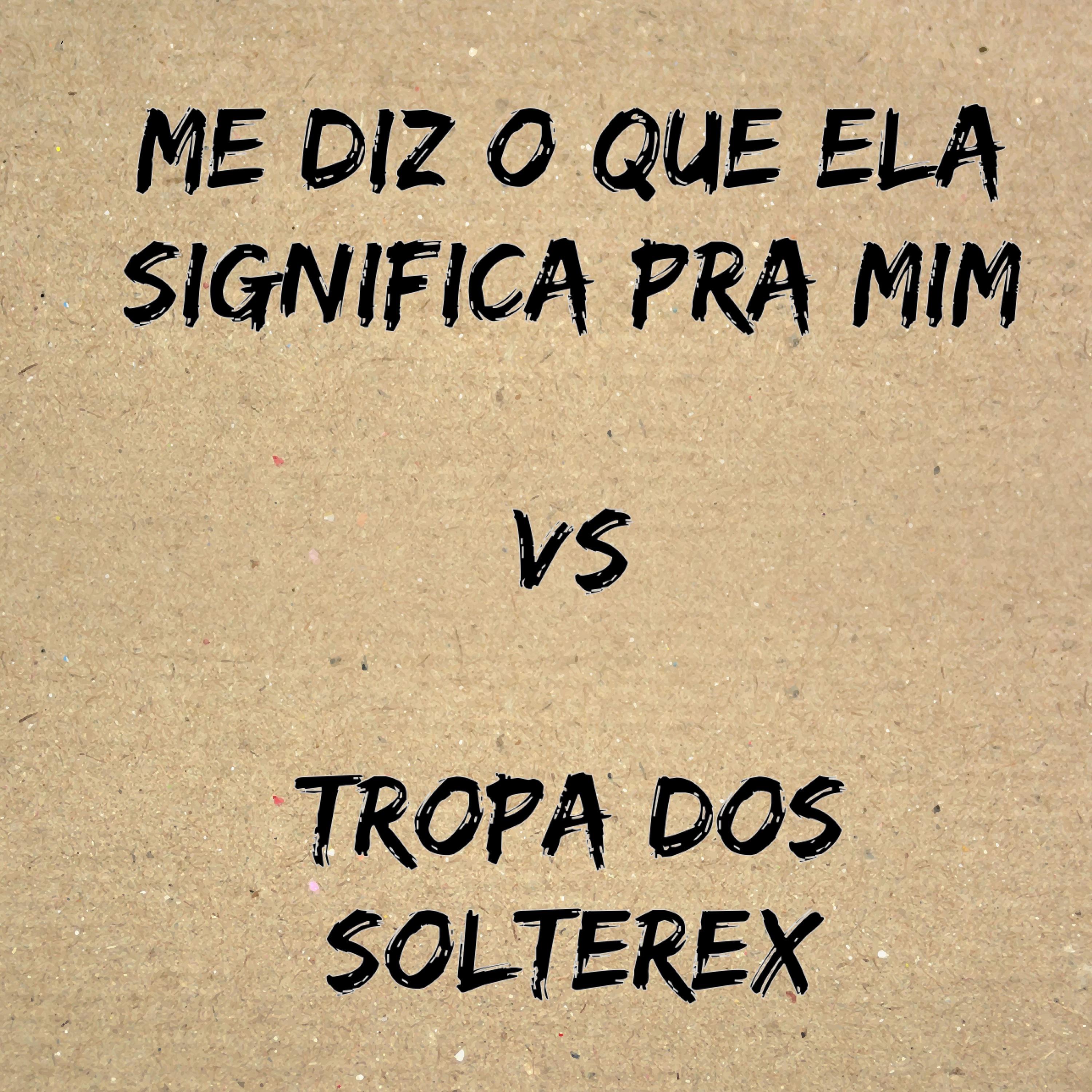 Постер альбома Me Diz o Que Ela Significa pra Mim Vs Tropa dos Solterex