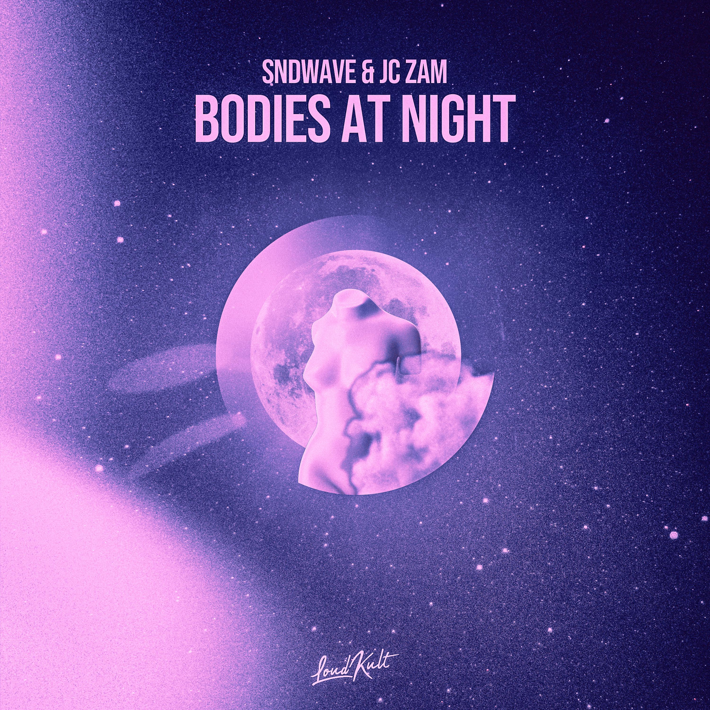Постер альбома Bodies At Night