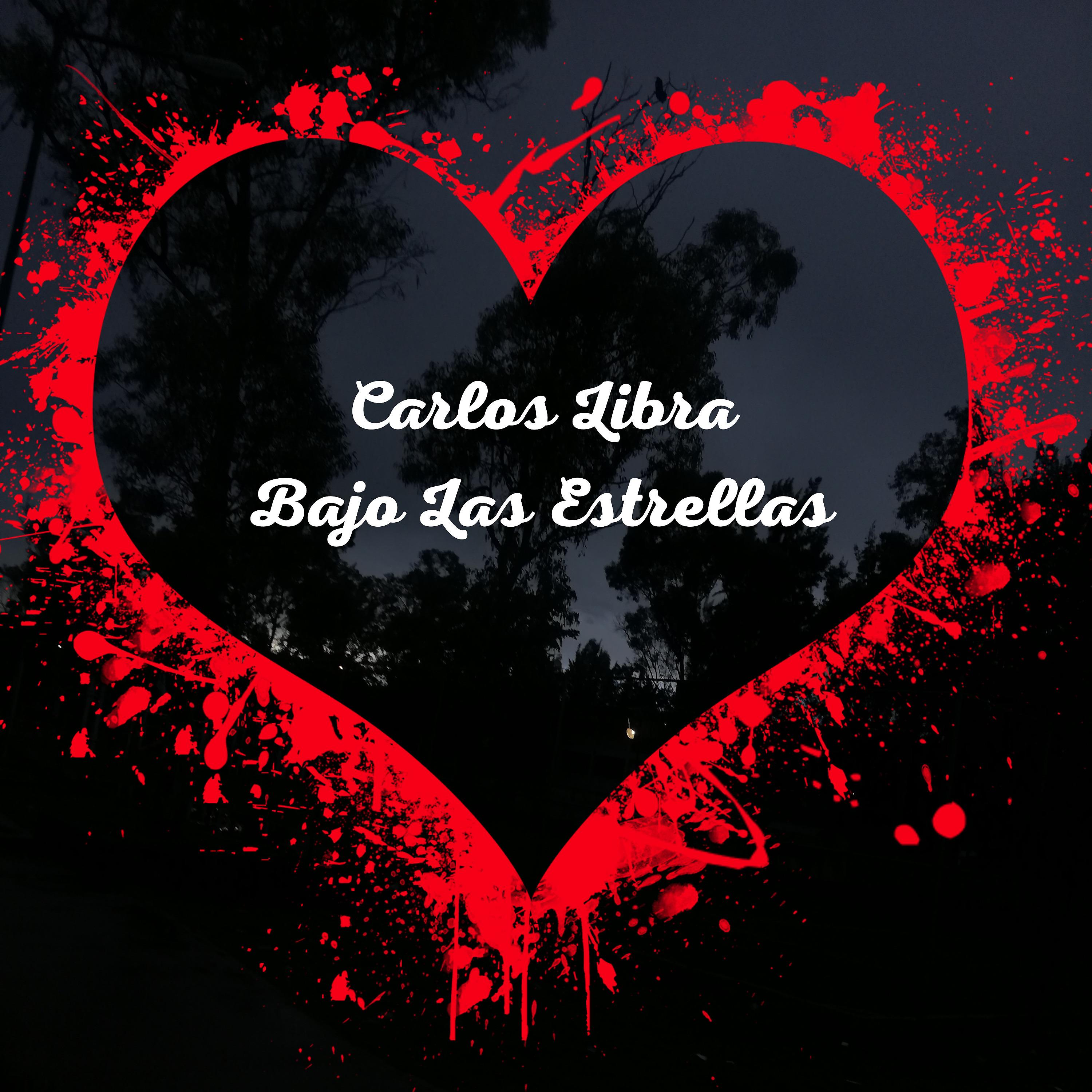 Постер альбома Bajo las Estrellas