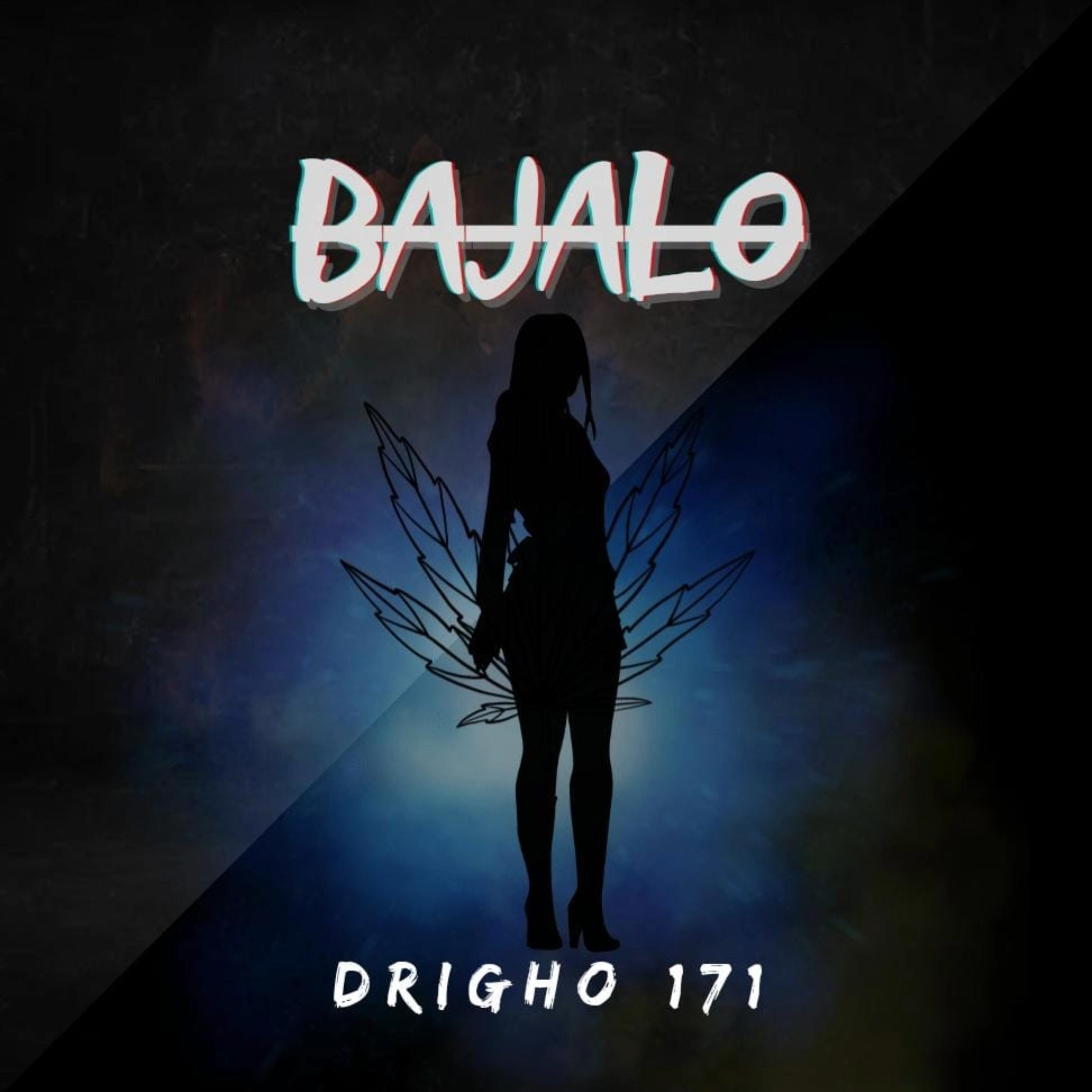 Постер альбома Bajalo