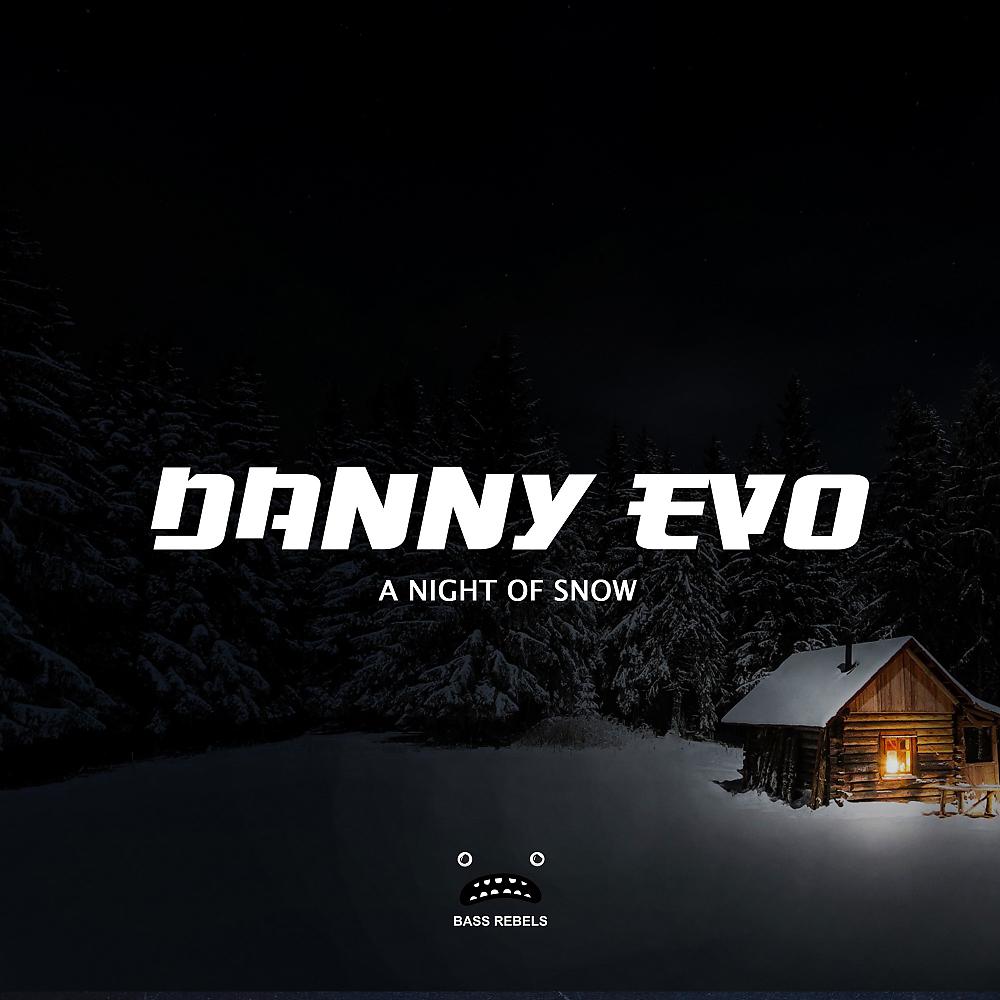Постер альбома A Night Of Snow