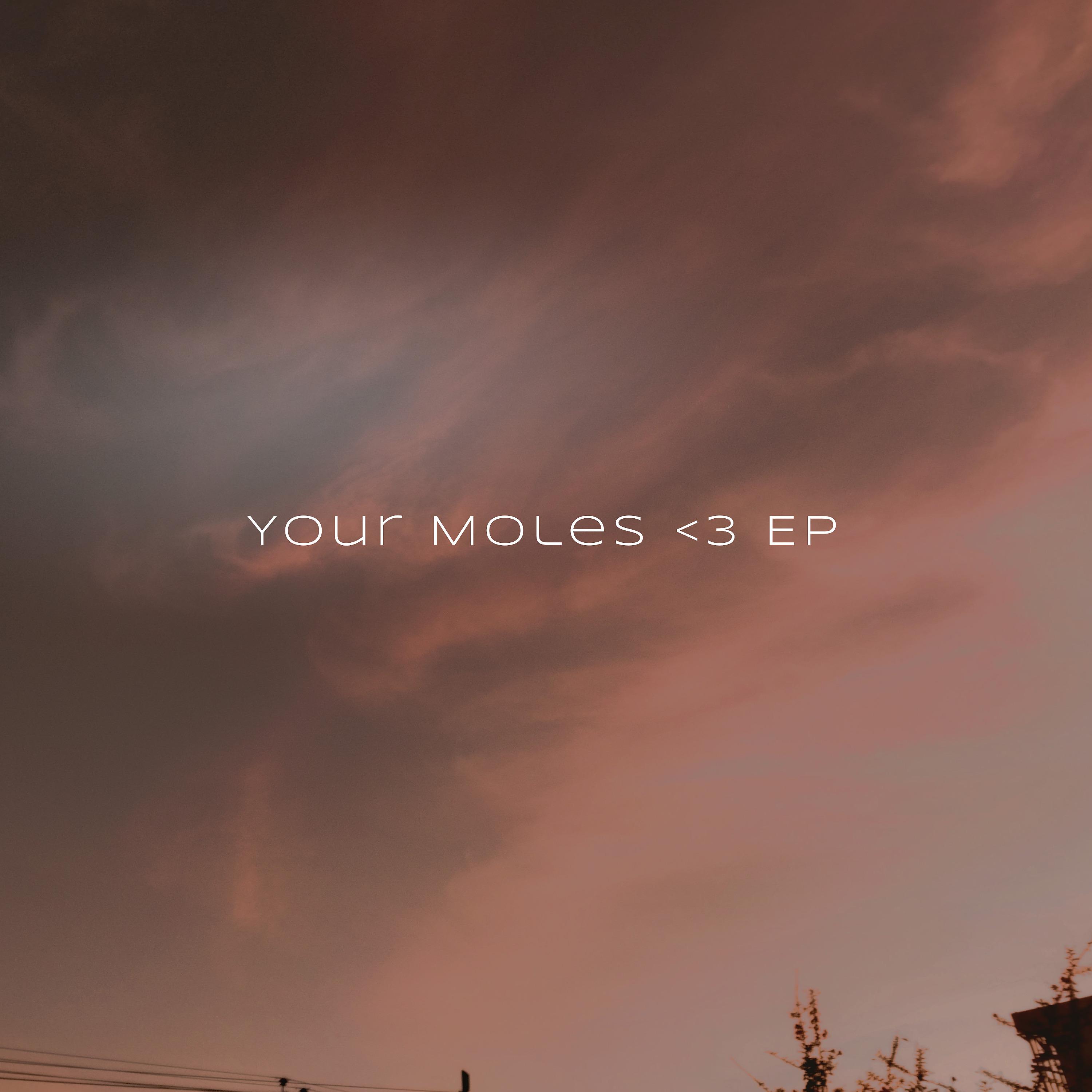 Постер альбома Your Moles <3