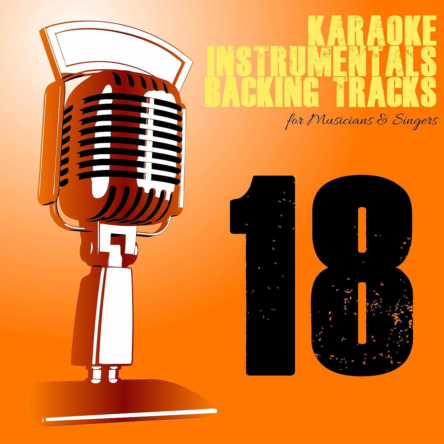Постер альбома Karaoke, Instrumentals, Backing Tracks, Vol. 18