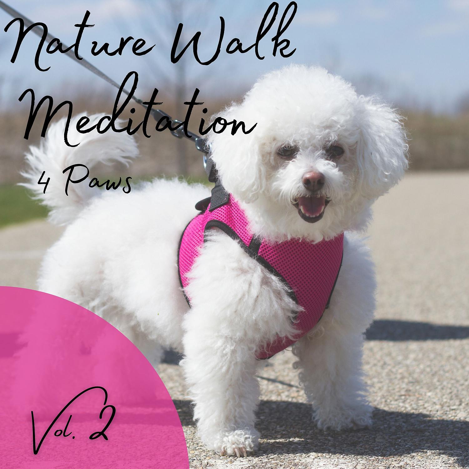 Постер альбома 4 Paws: Nature Walk Meditation Vol. 2