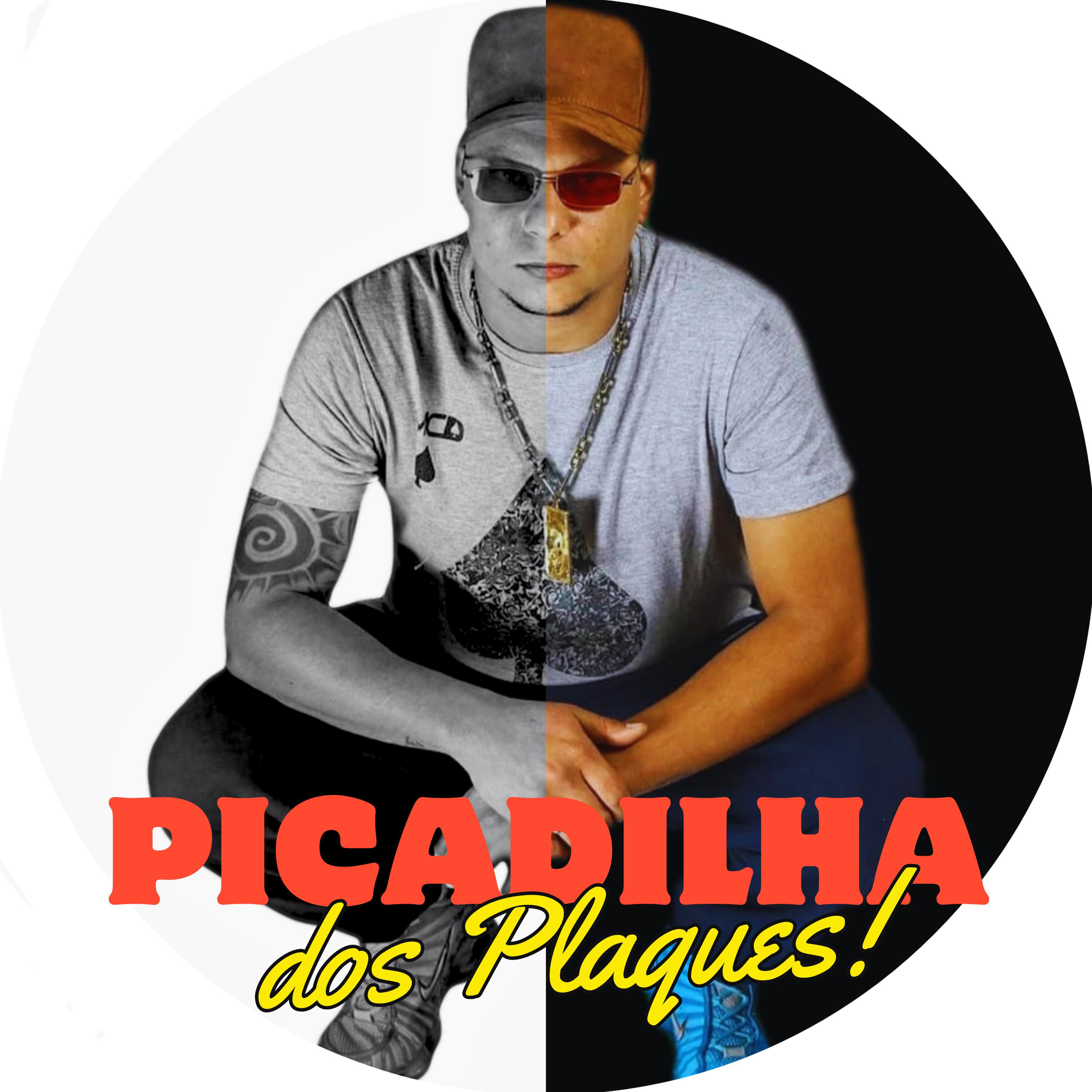 Постер альбома Picadilha dos Plaques