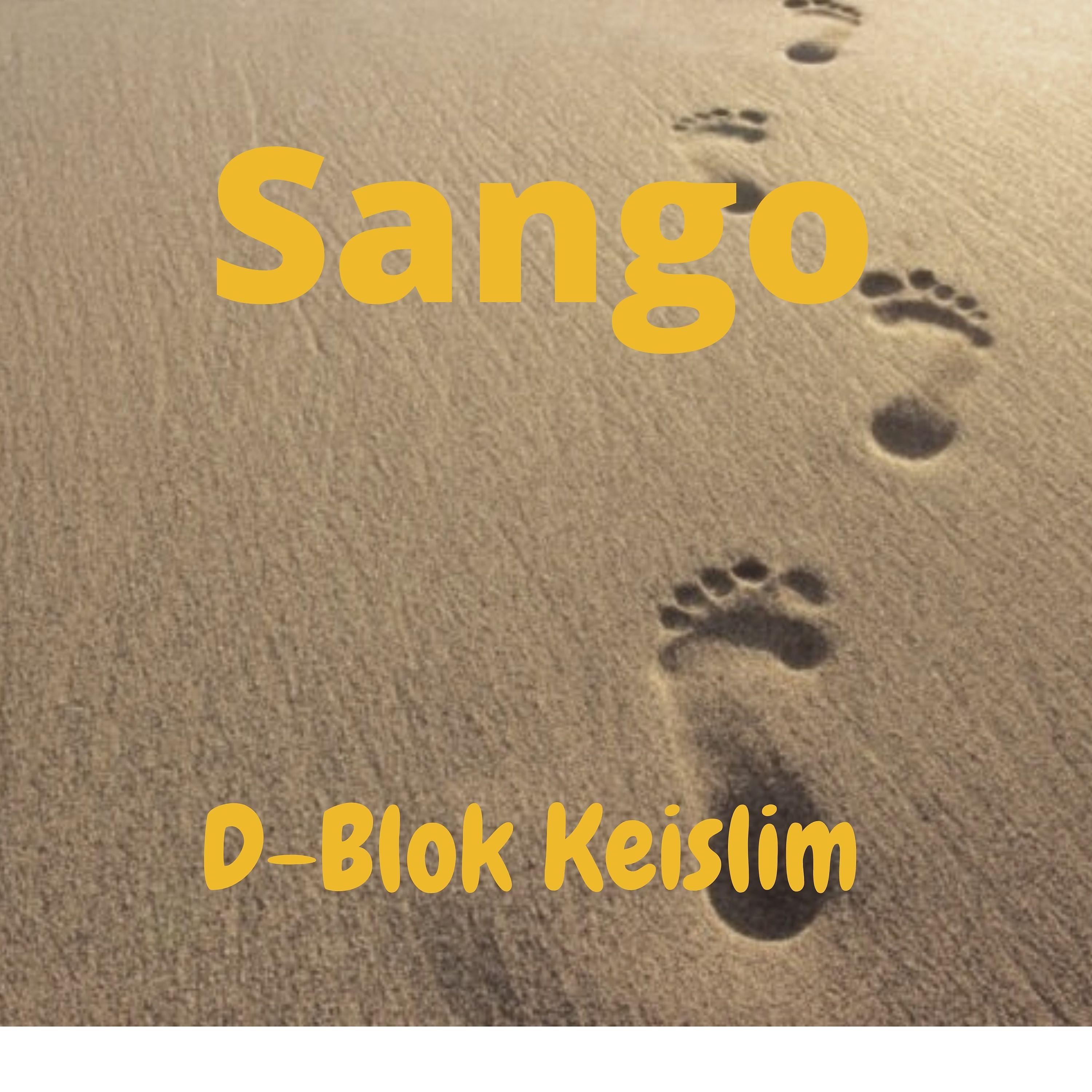 Постер альбома Sango