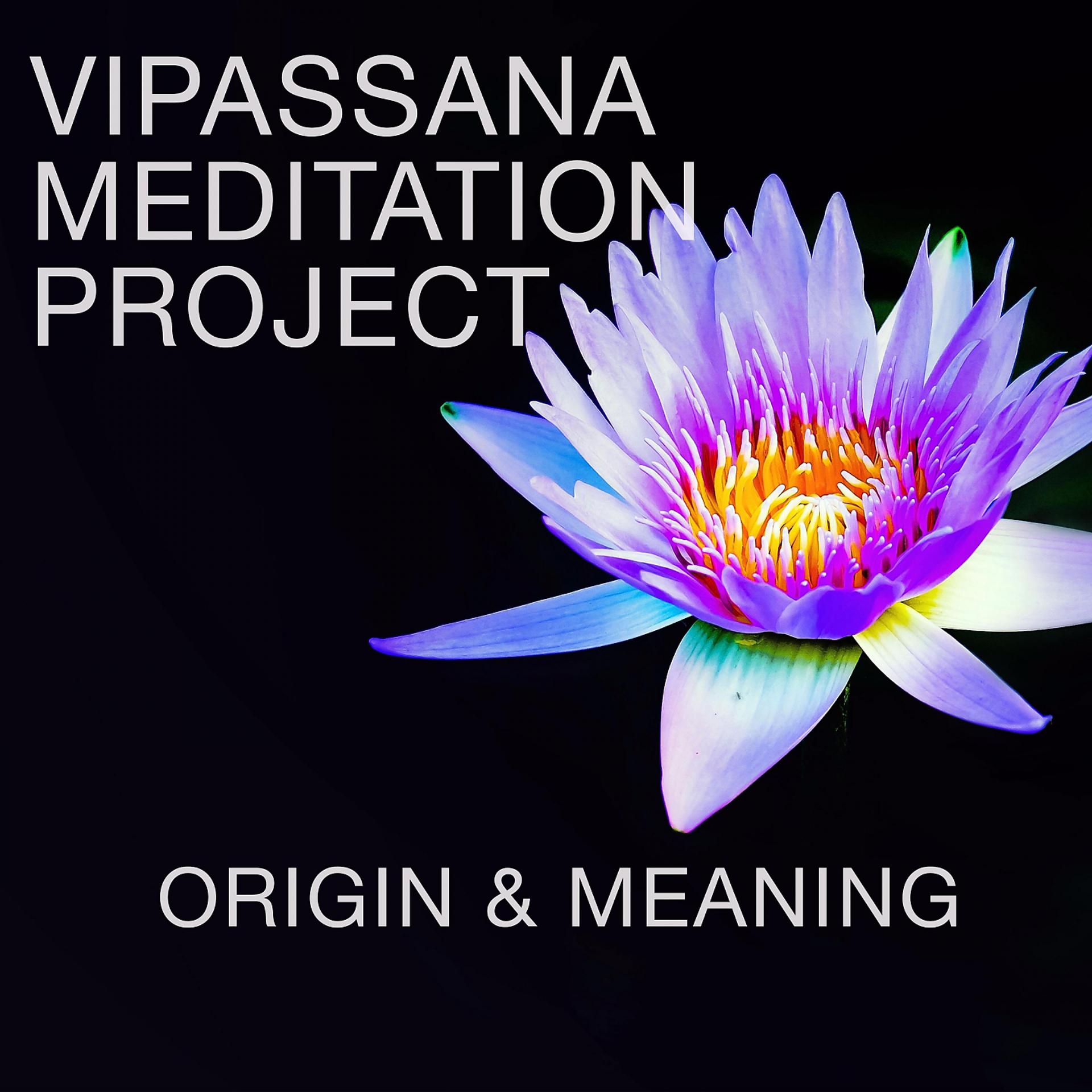 Vipassana Meditation Project - фото
