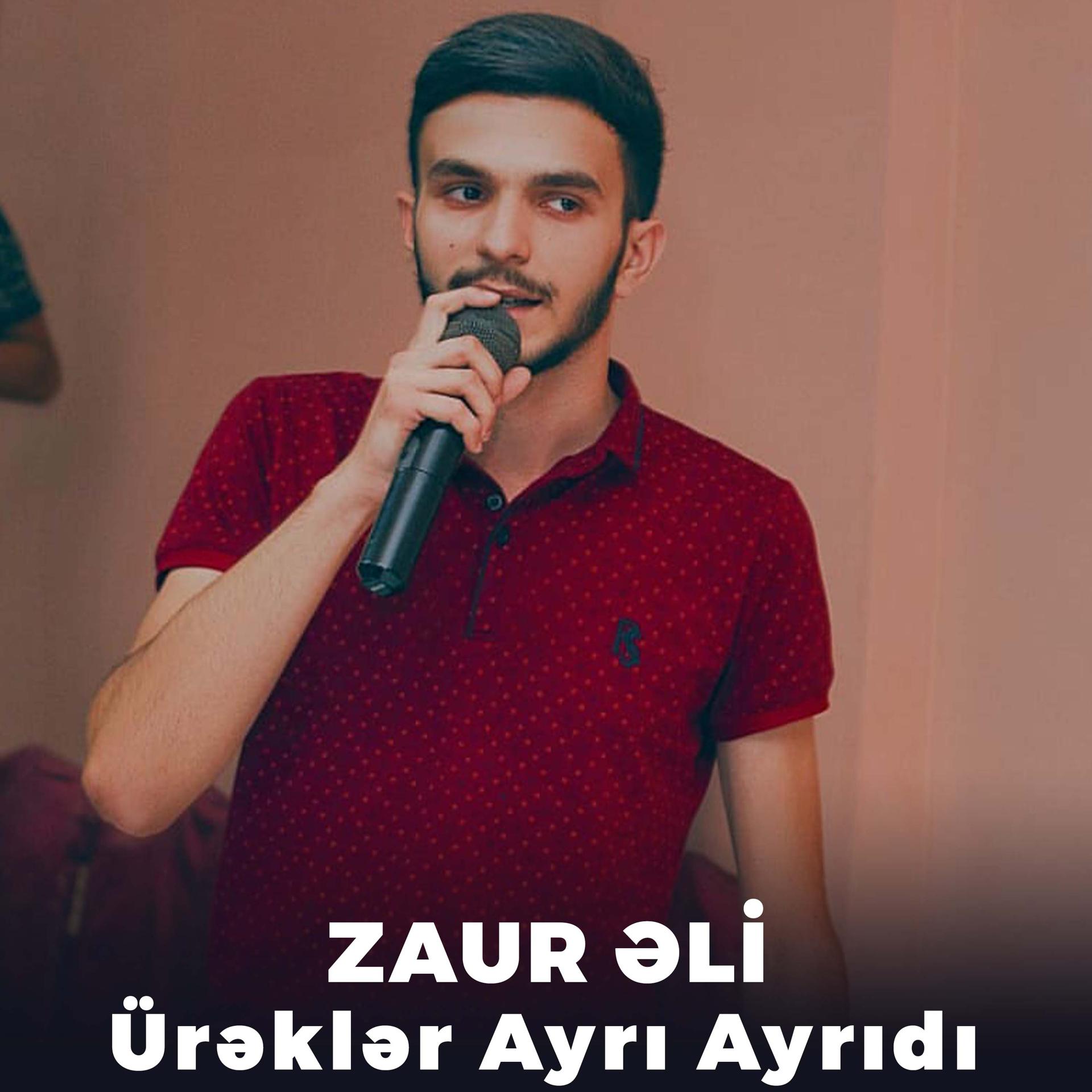 Zaur Əli - фото
