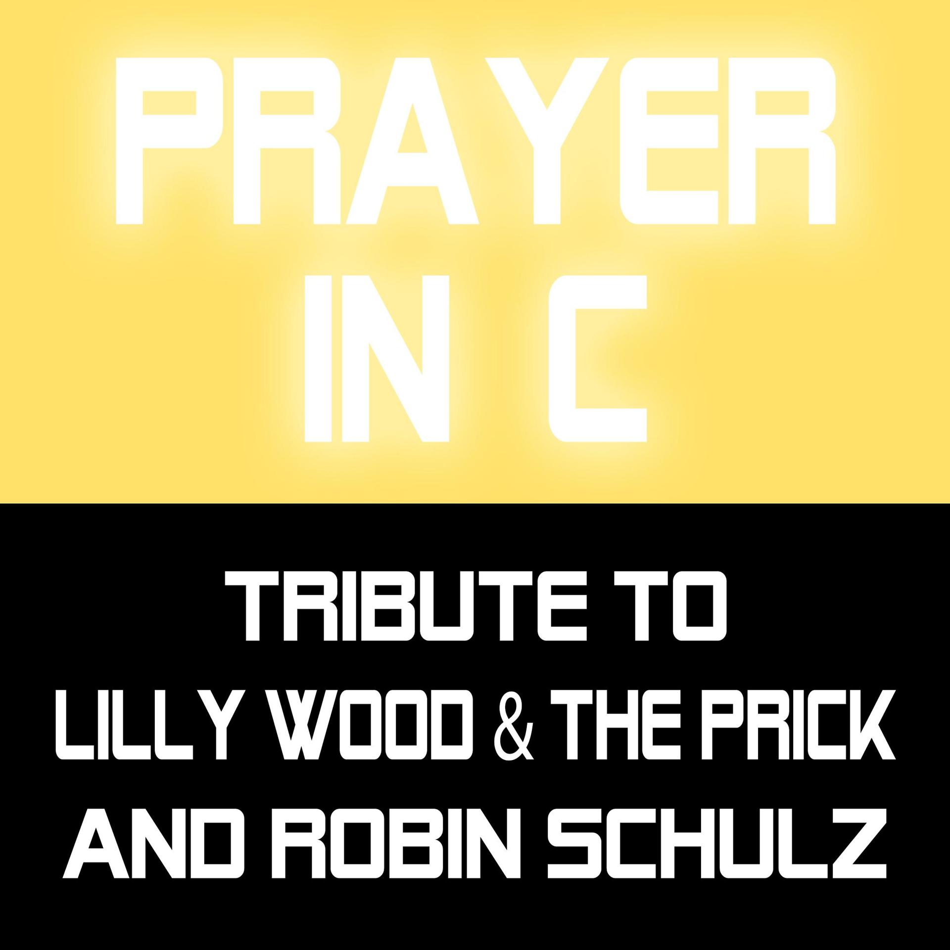 Tribute to Lilly Wood - фото