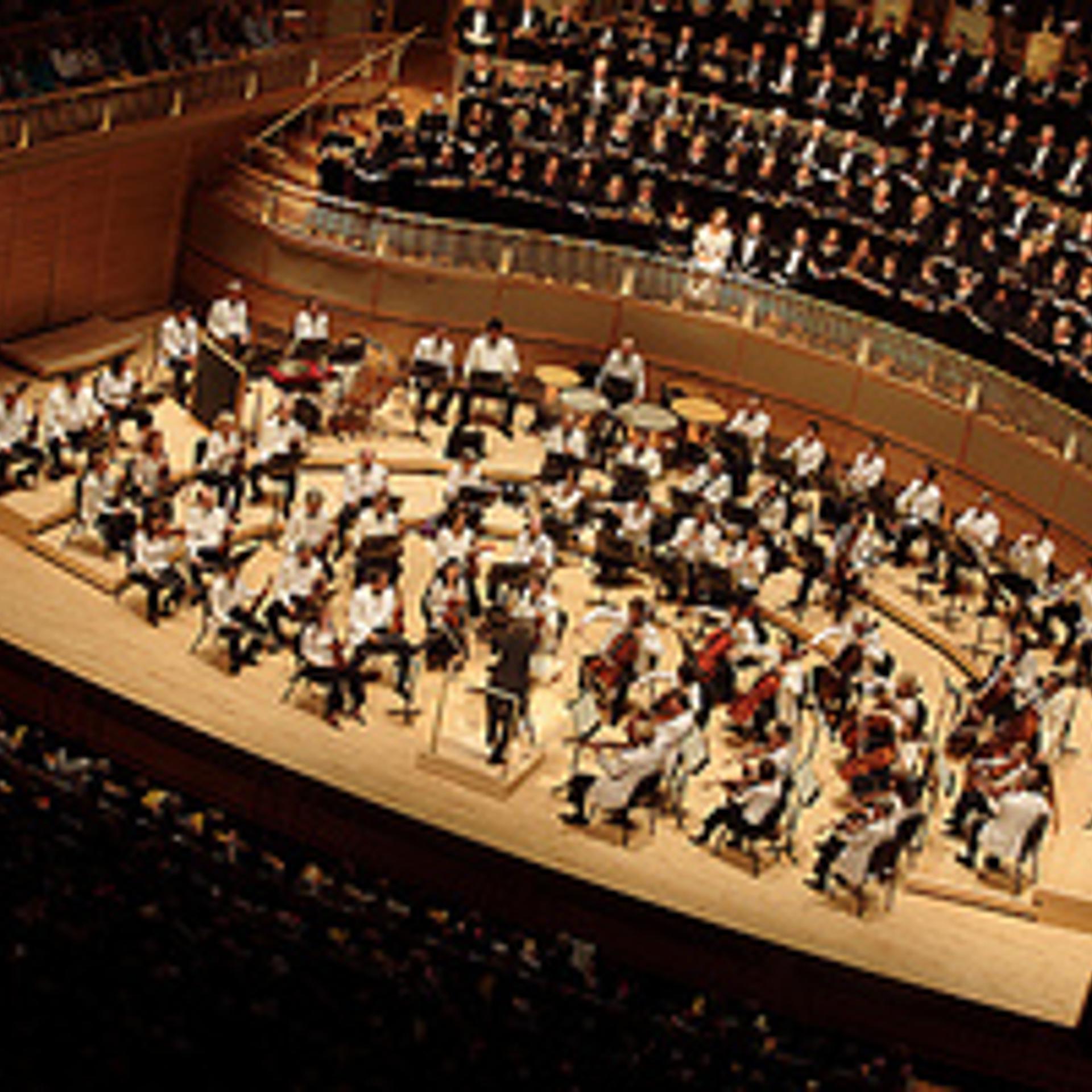 Baltimore Symphony Orchestra - фото