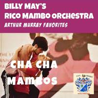 Billy May's Rico Mambo Orchestra - фото