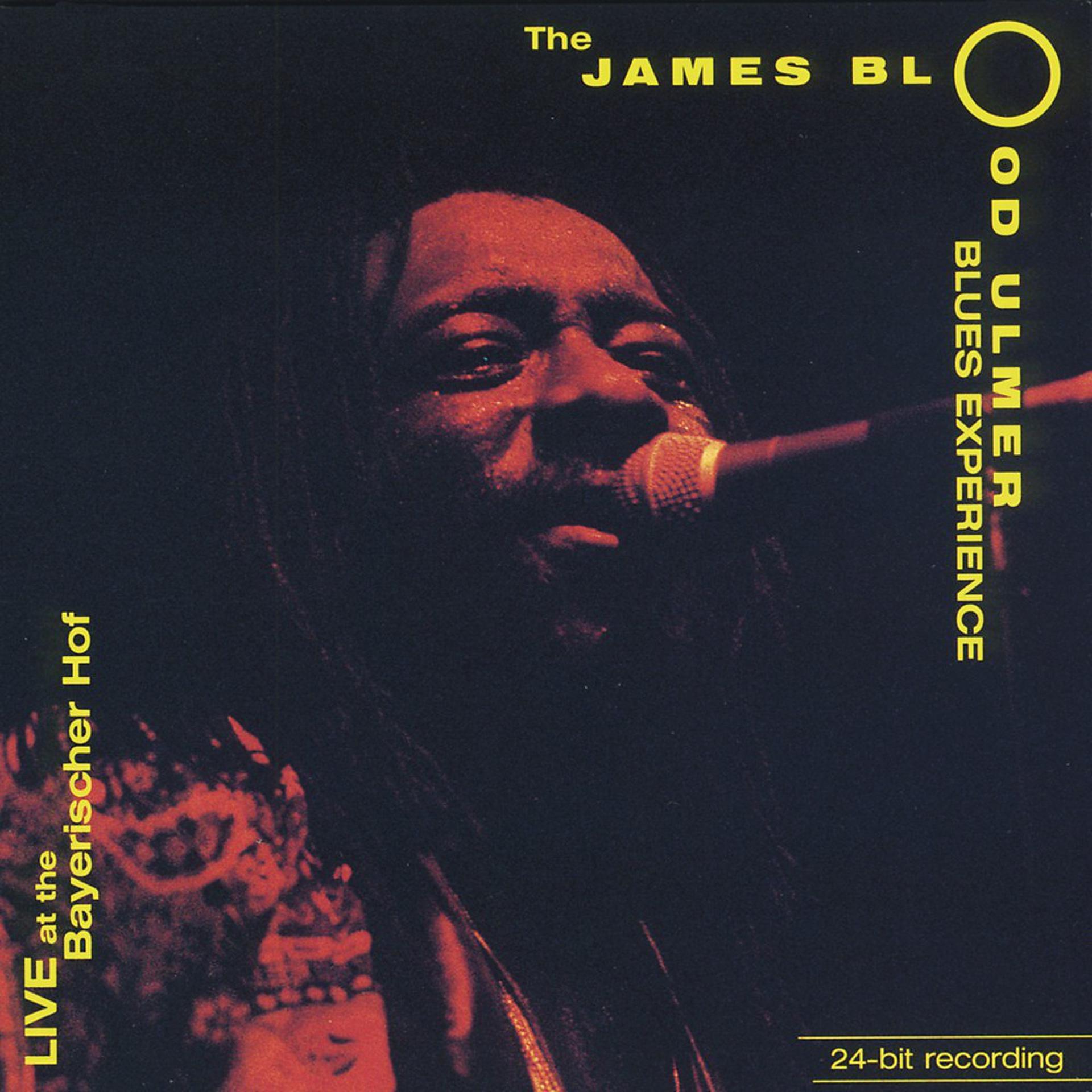 The James Blood Ulmer Blues Experience - фото